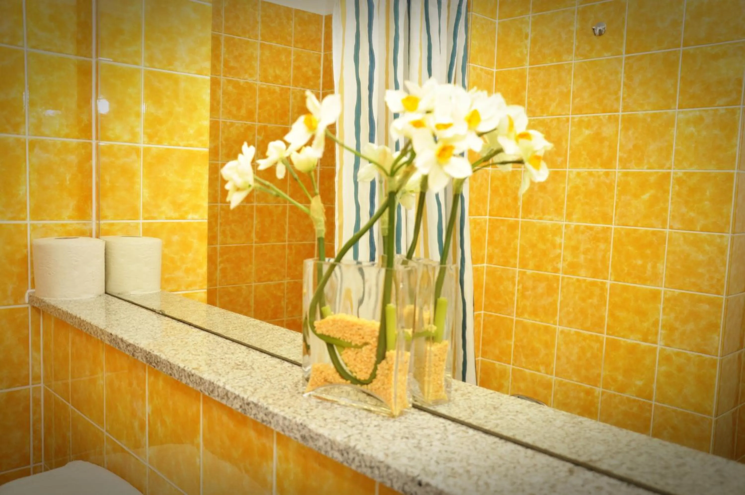 Bathroom in Hotel Litjes