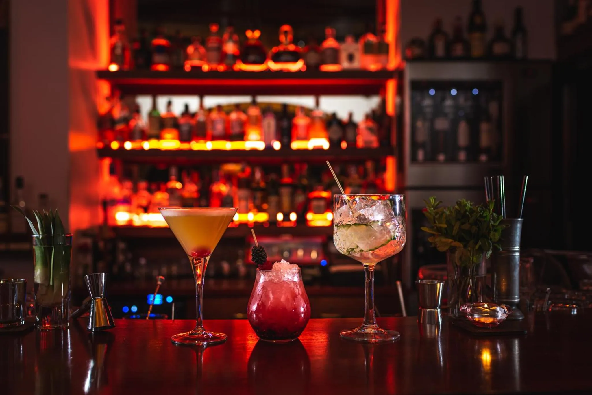 Lounge or bar in Boutique Hotel Albana Real - Restaurants & Spa