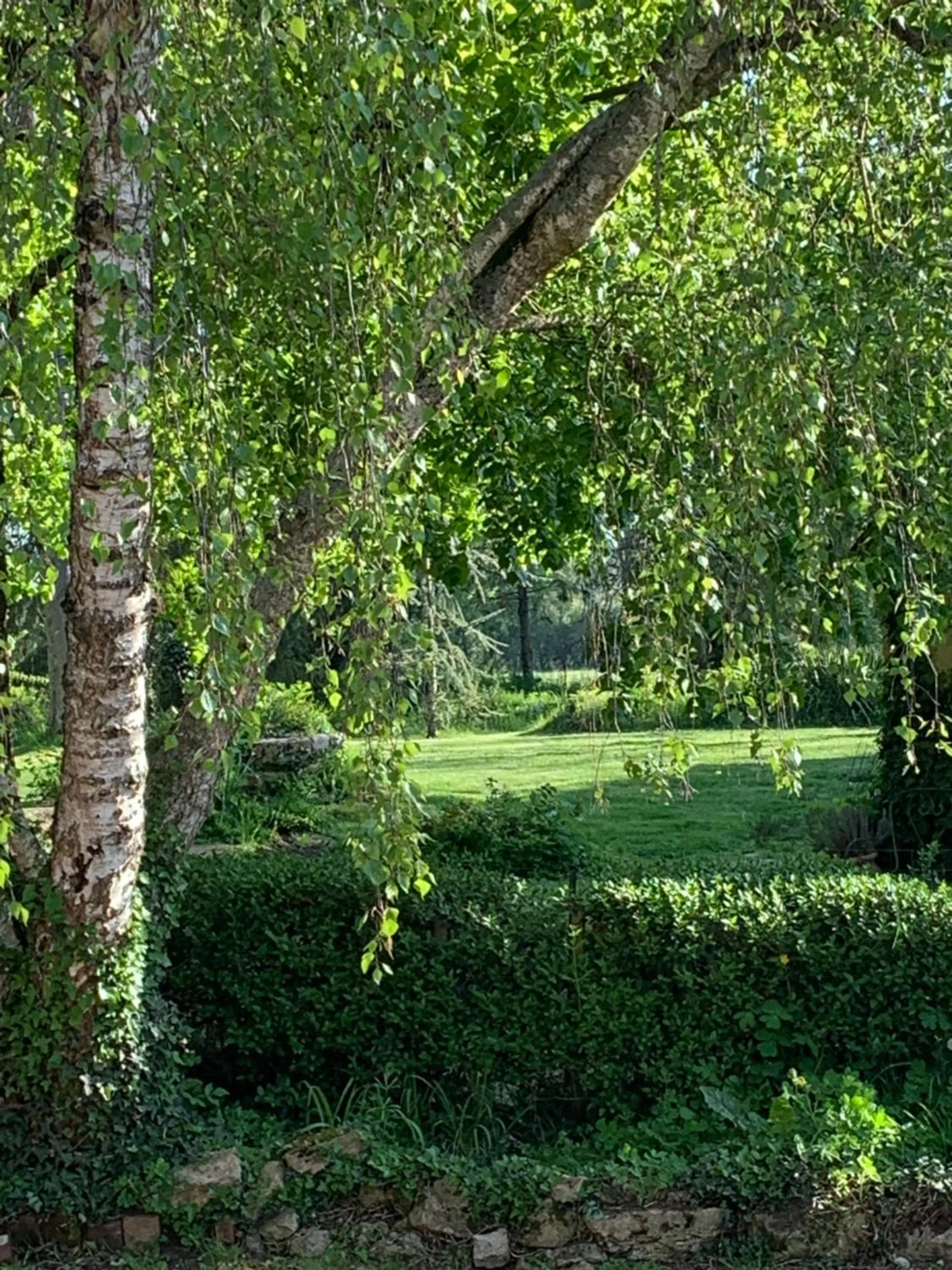 Garden view in Moulin de Champrond -Montmirail -Sarthe