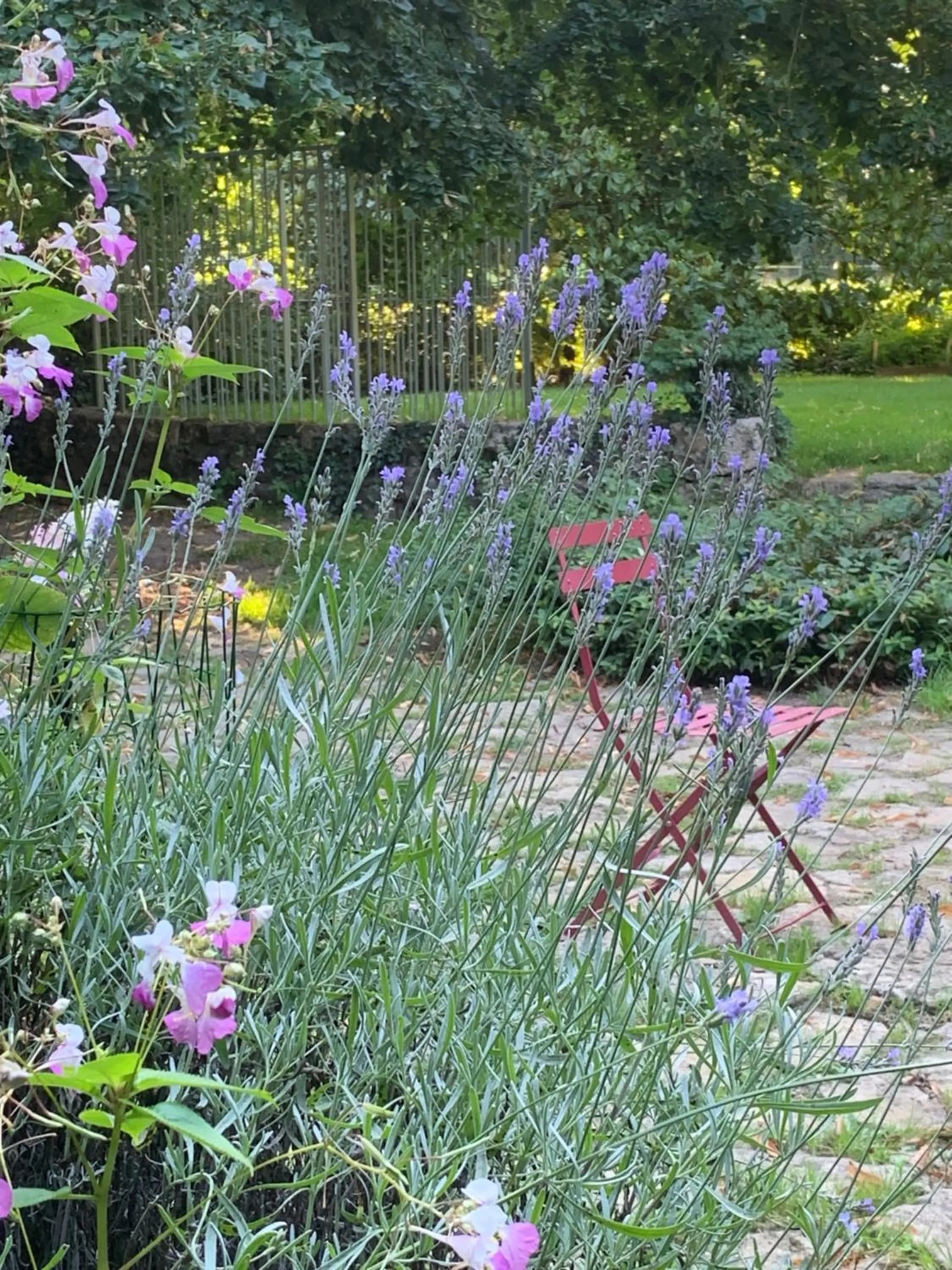 Moulin de Champrond -Montmirail -Sarthe