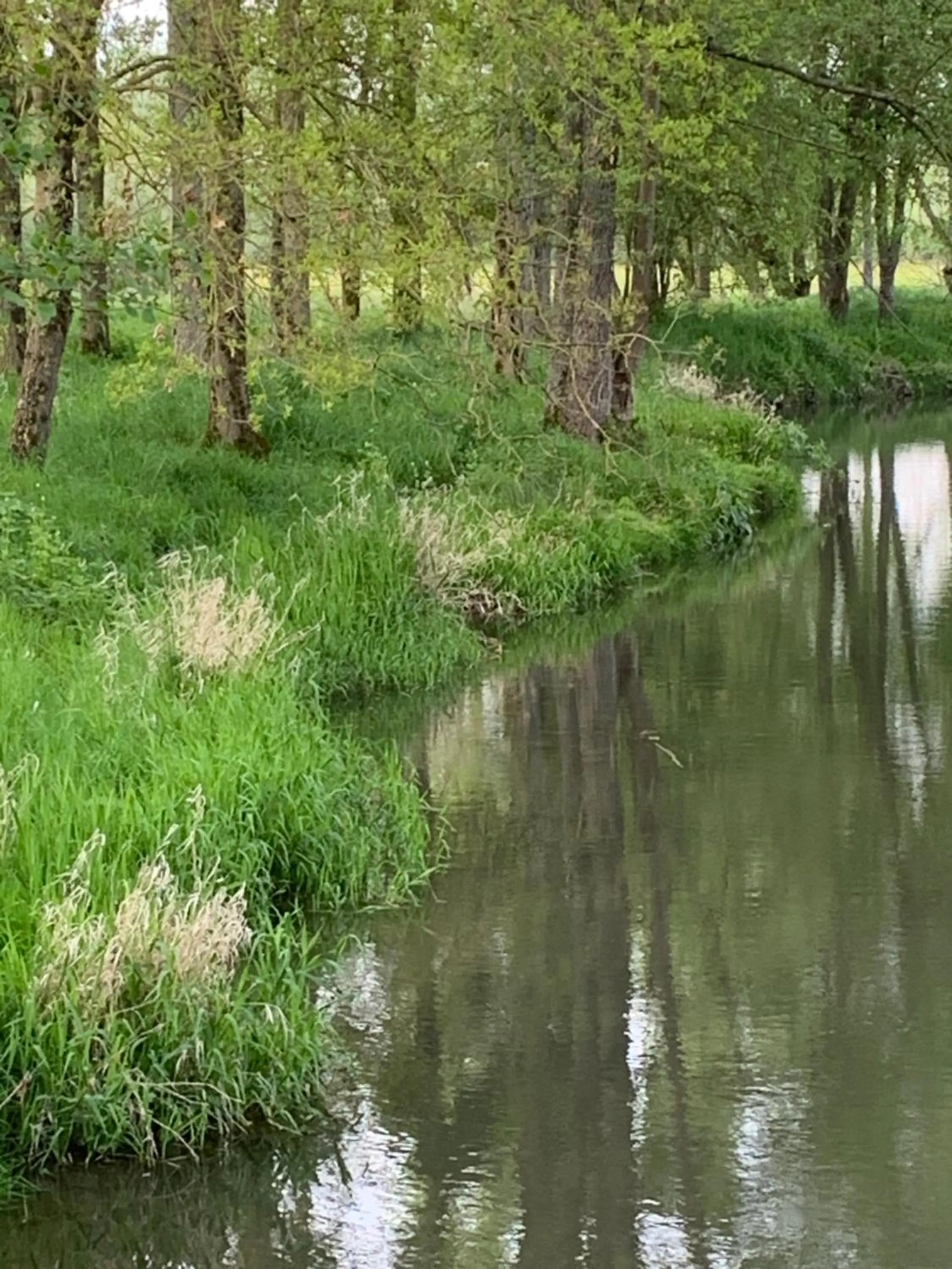 Moulin de Champrond -Montmirail -Sarthe
