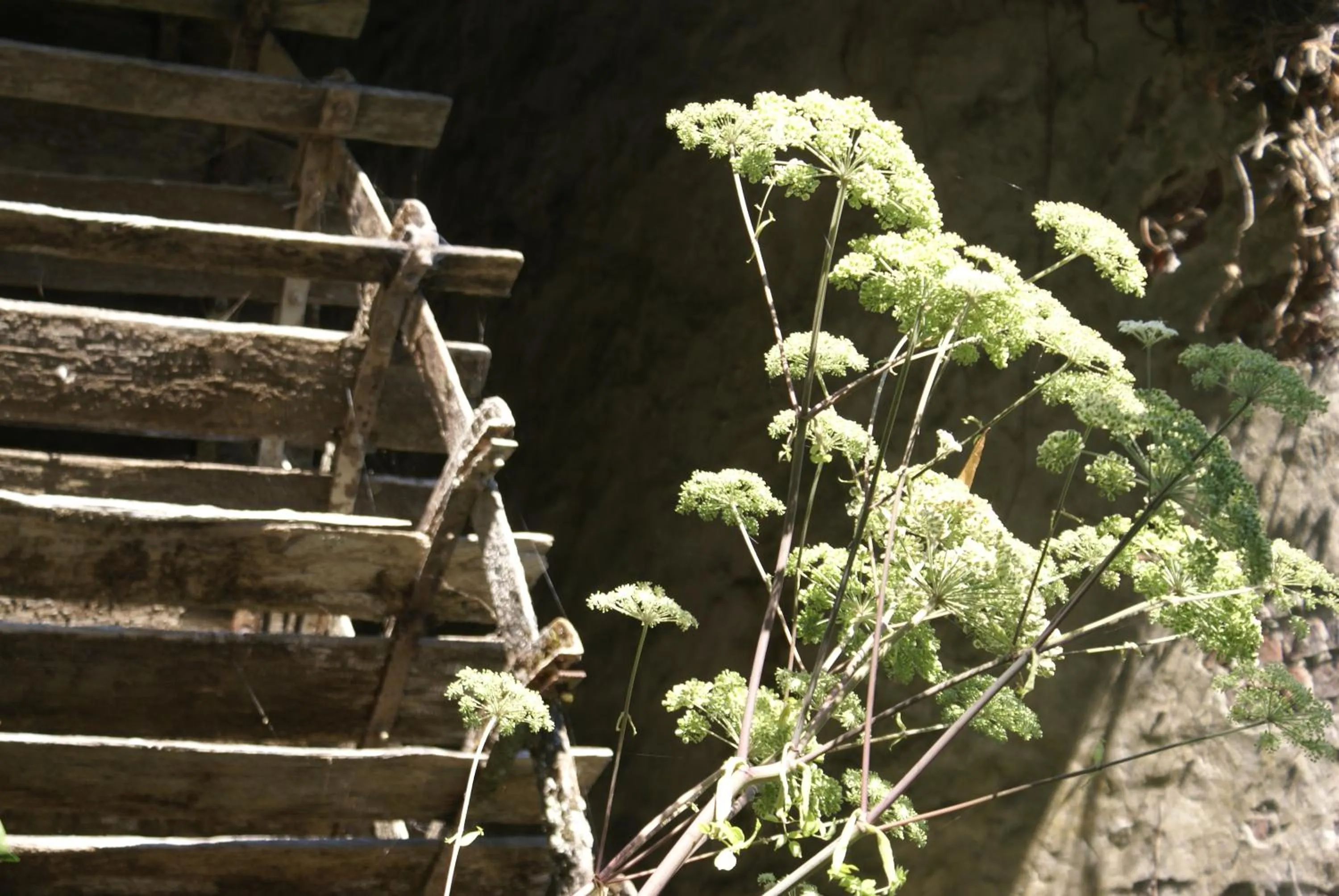 Moulin de Champrond -Montmirail -Sarthe