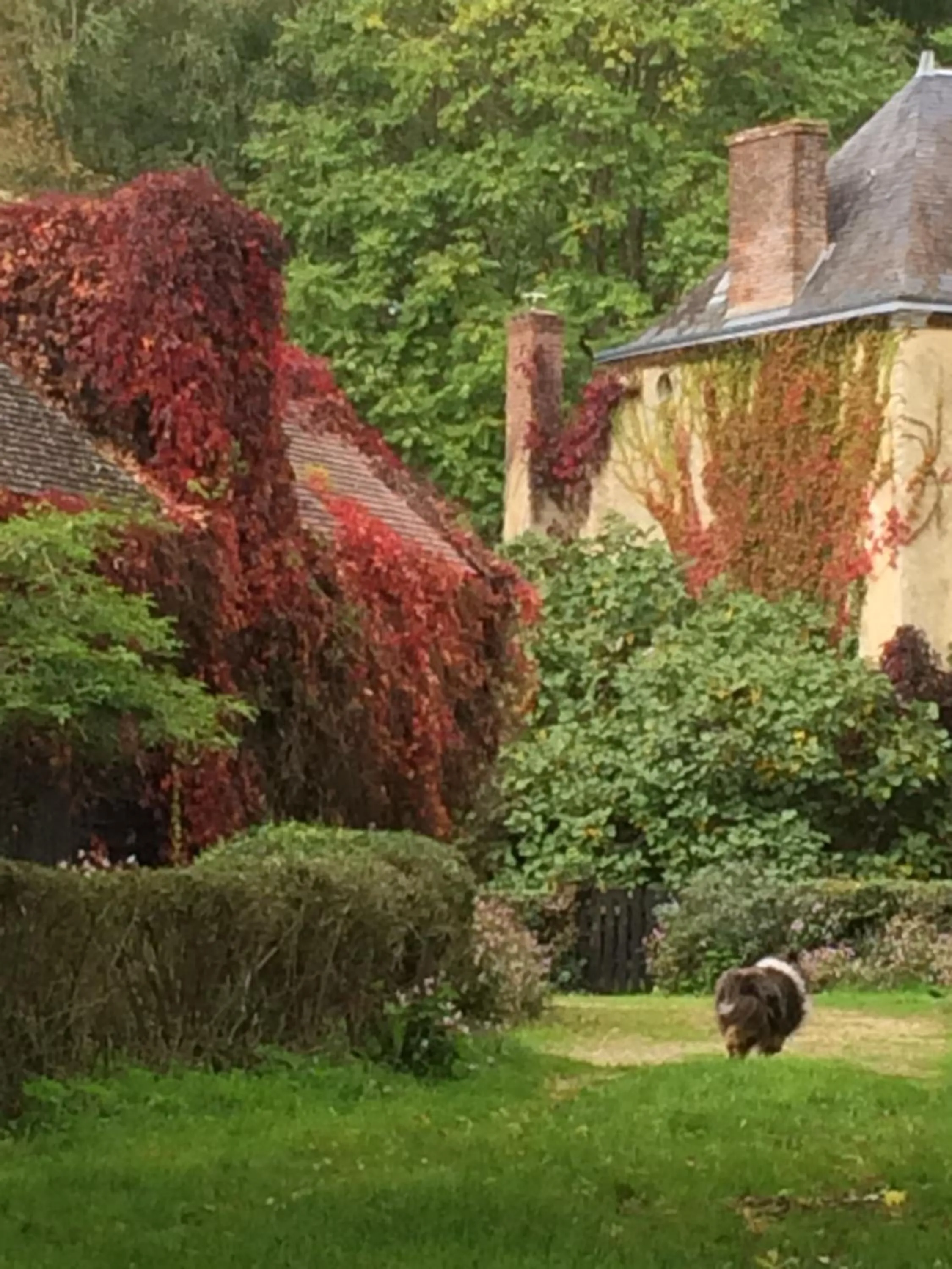 Property building in Moulin de Champrond -Montmirail -Sarthe