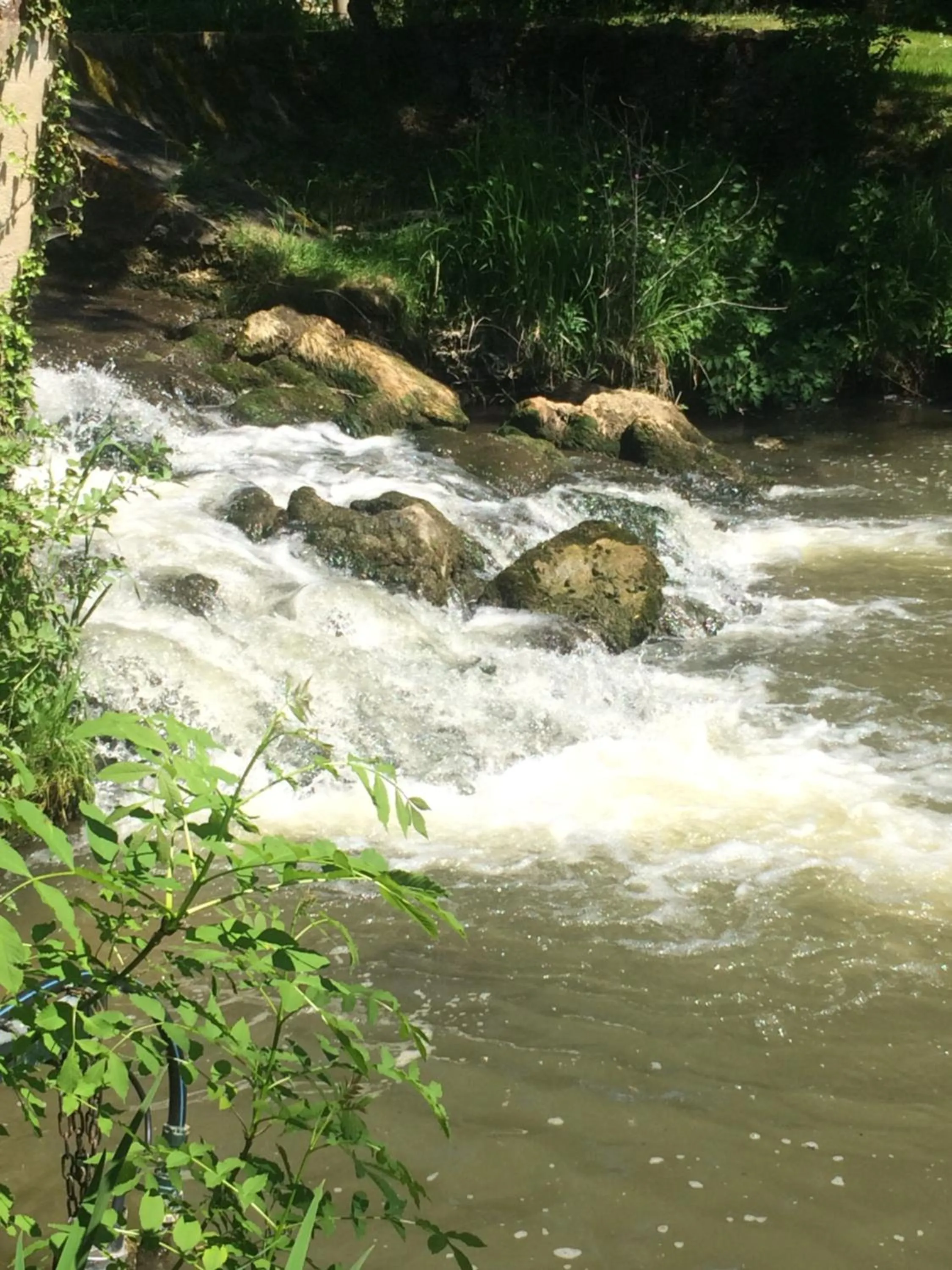 Natural landscape in Moulin de Champrond -Montmirail -Sarthe