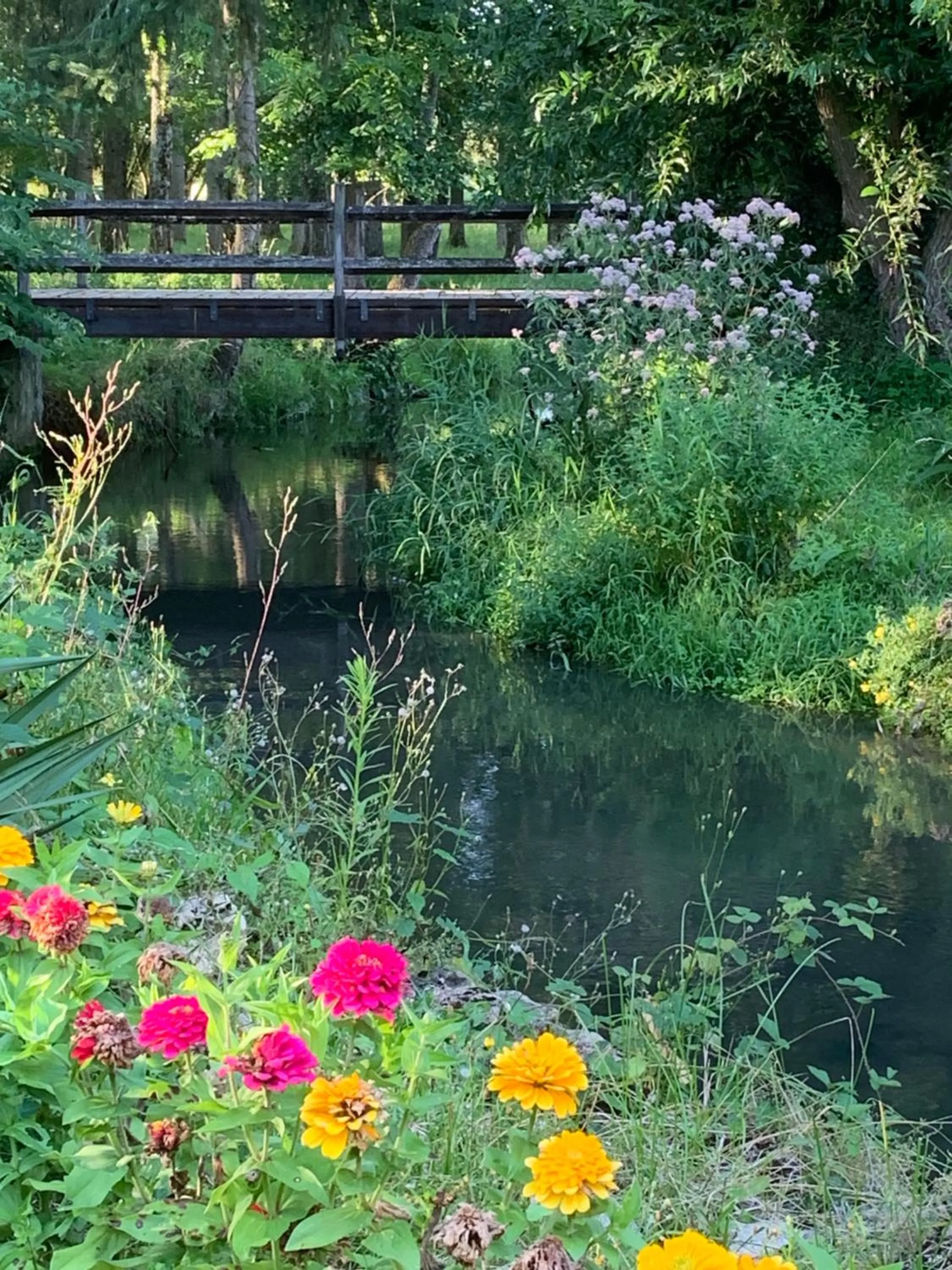 Moulin de Champrond -Montmirail -Sarthe