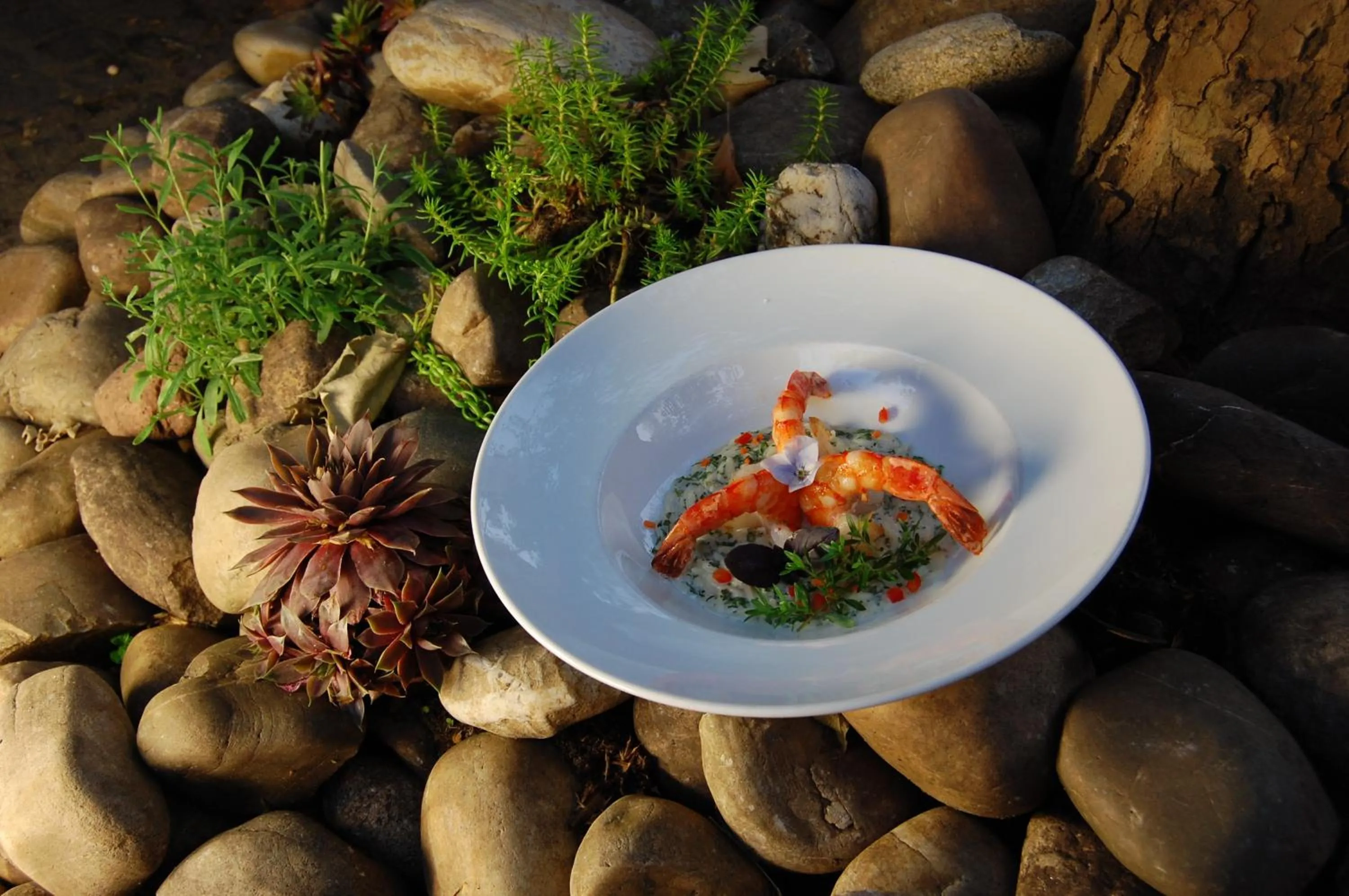 Food and drinks in Hotel Brößler