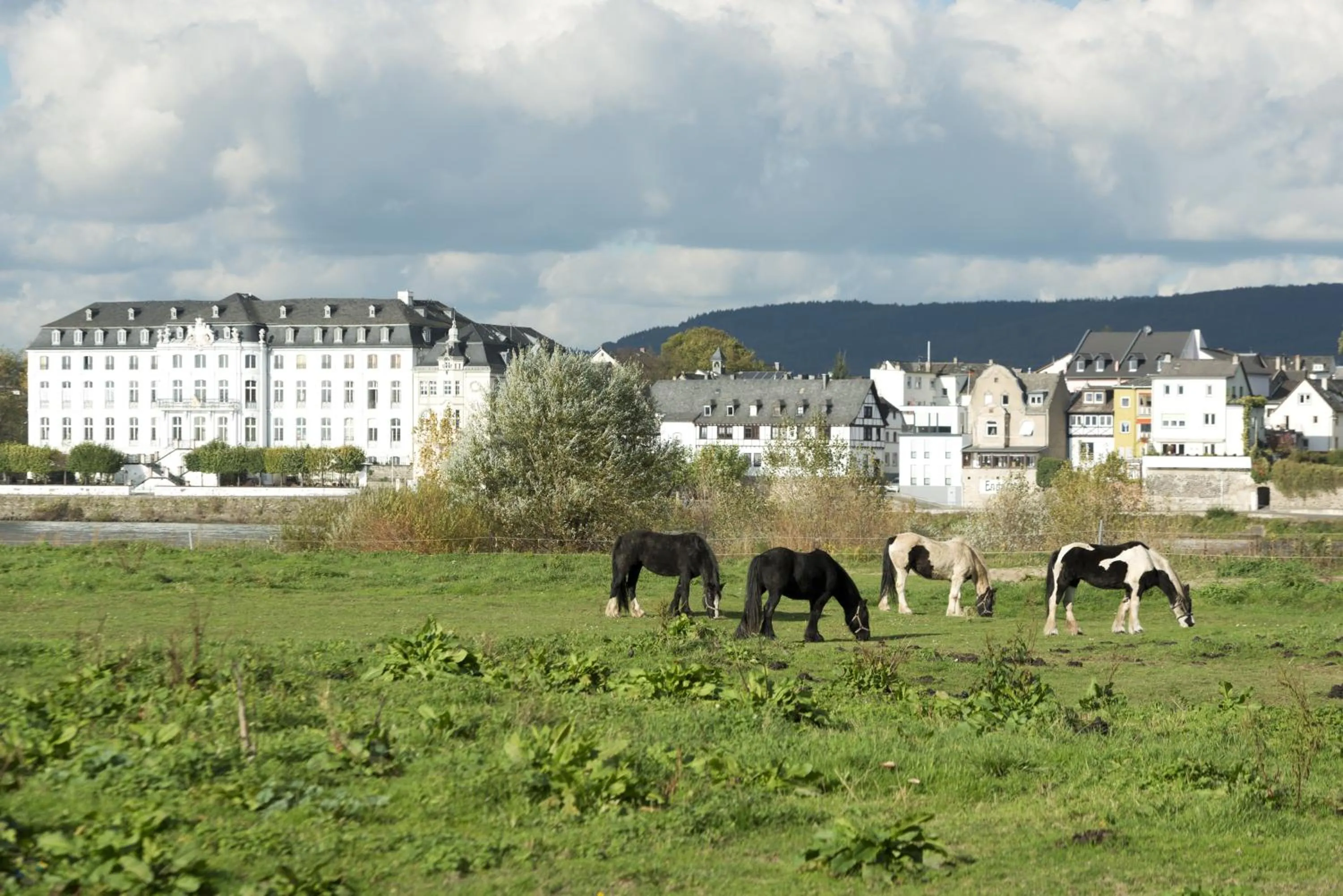 Area and facilities in Rheinhotel Larus