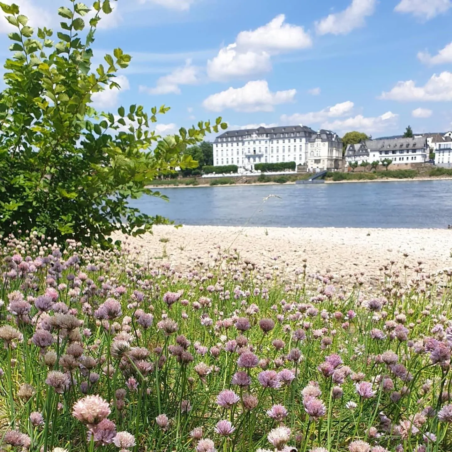 Nearby landmark in Rheinhotel Larus