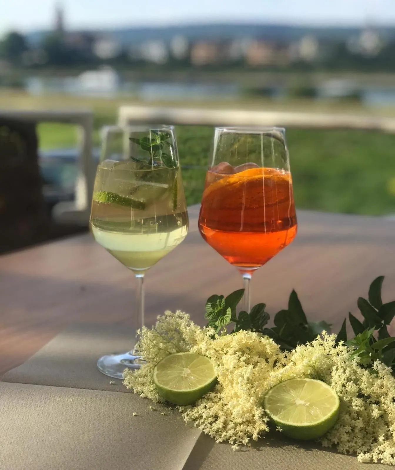 Balcony/Terrace in Rheinhotel Larus