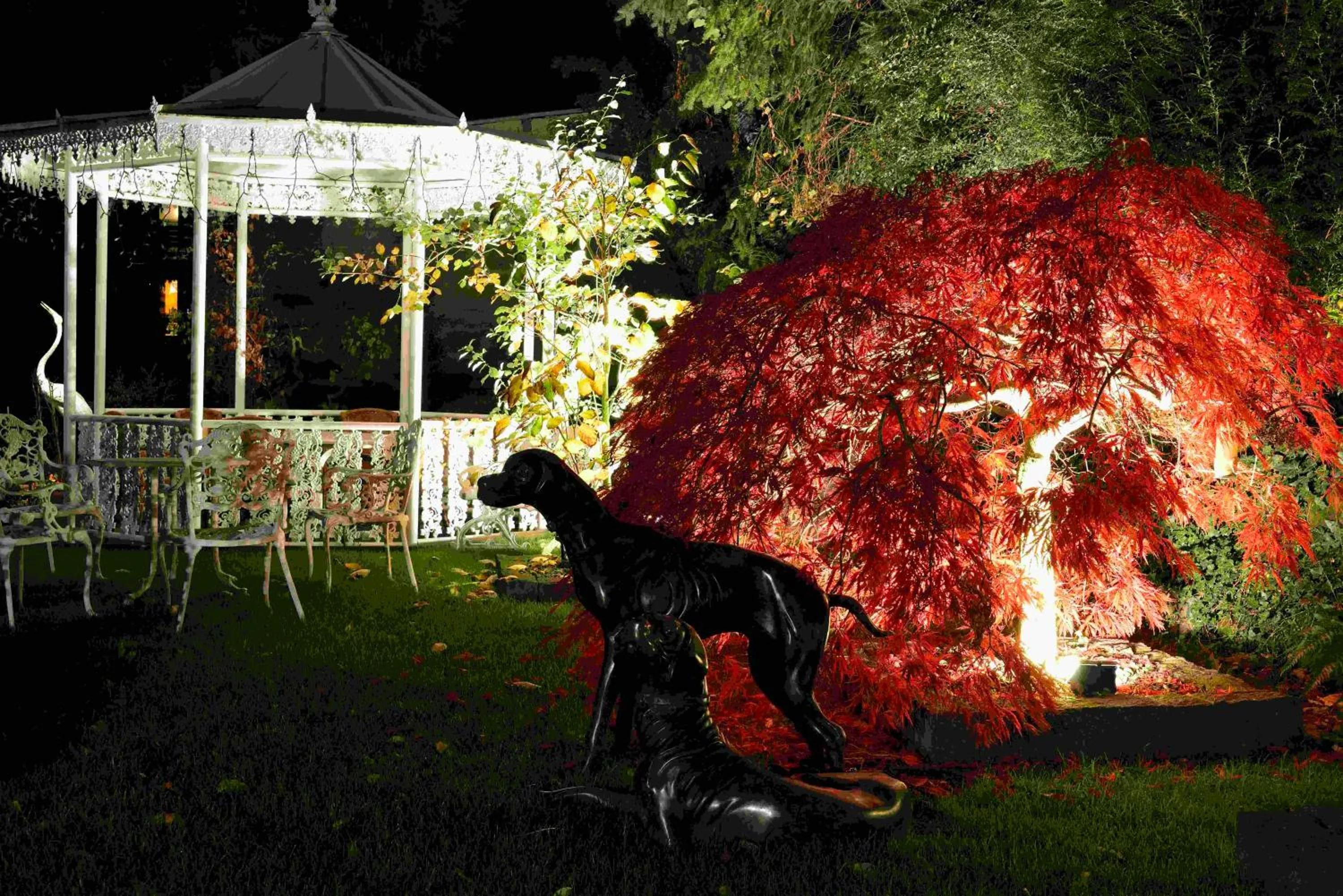 Garden in Rheinhotel Larus