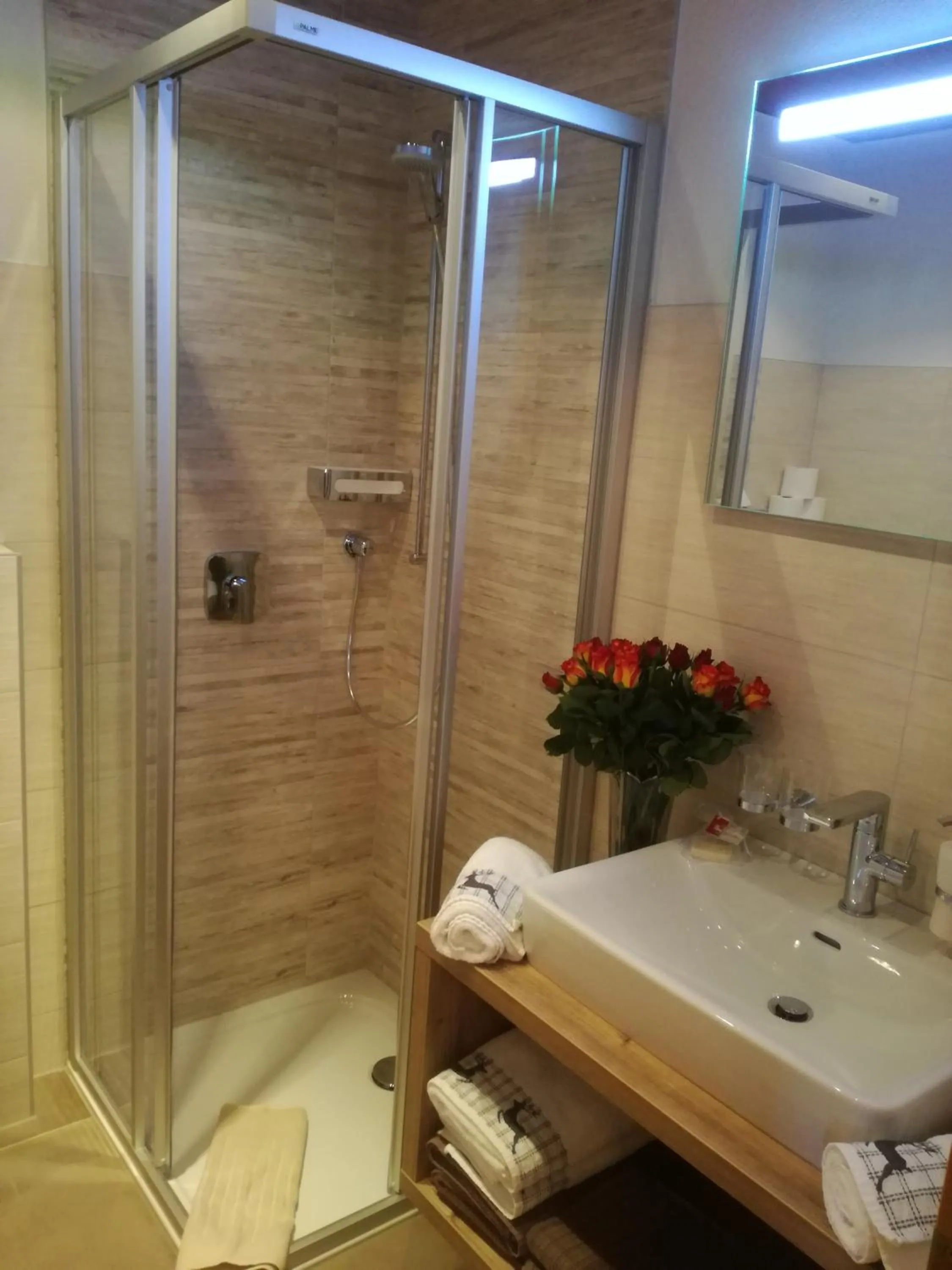 Bathroom in Häus`l am Ruan