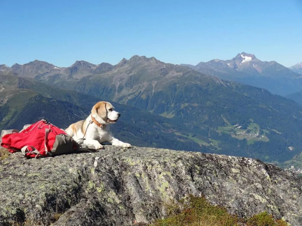 Hotel Riederhof- Urlaub mit WAU!