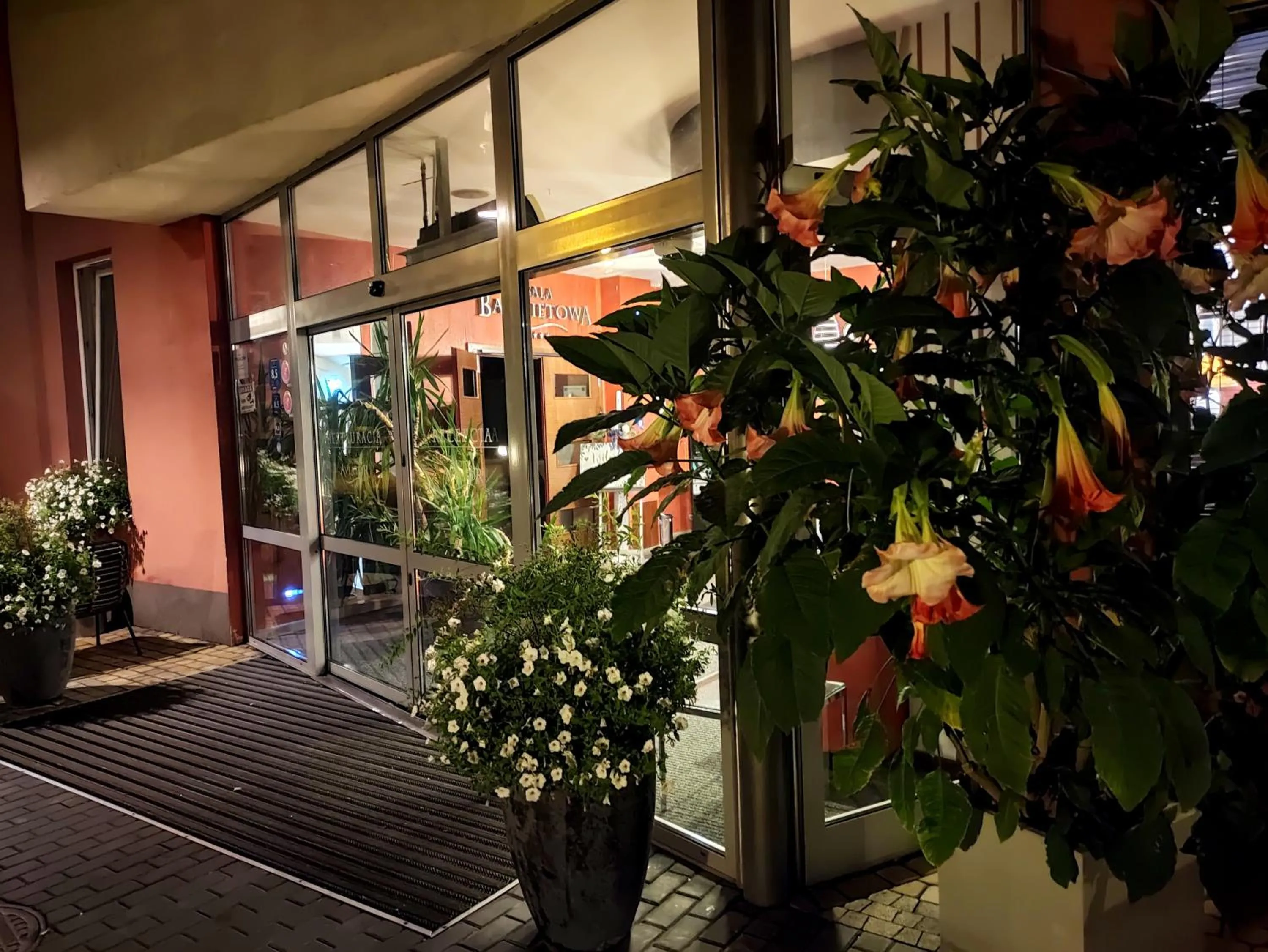 Aviator Hotel Restauracja & SPA