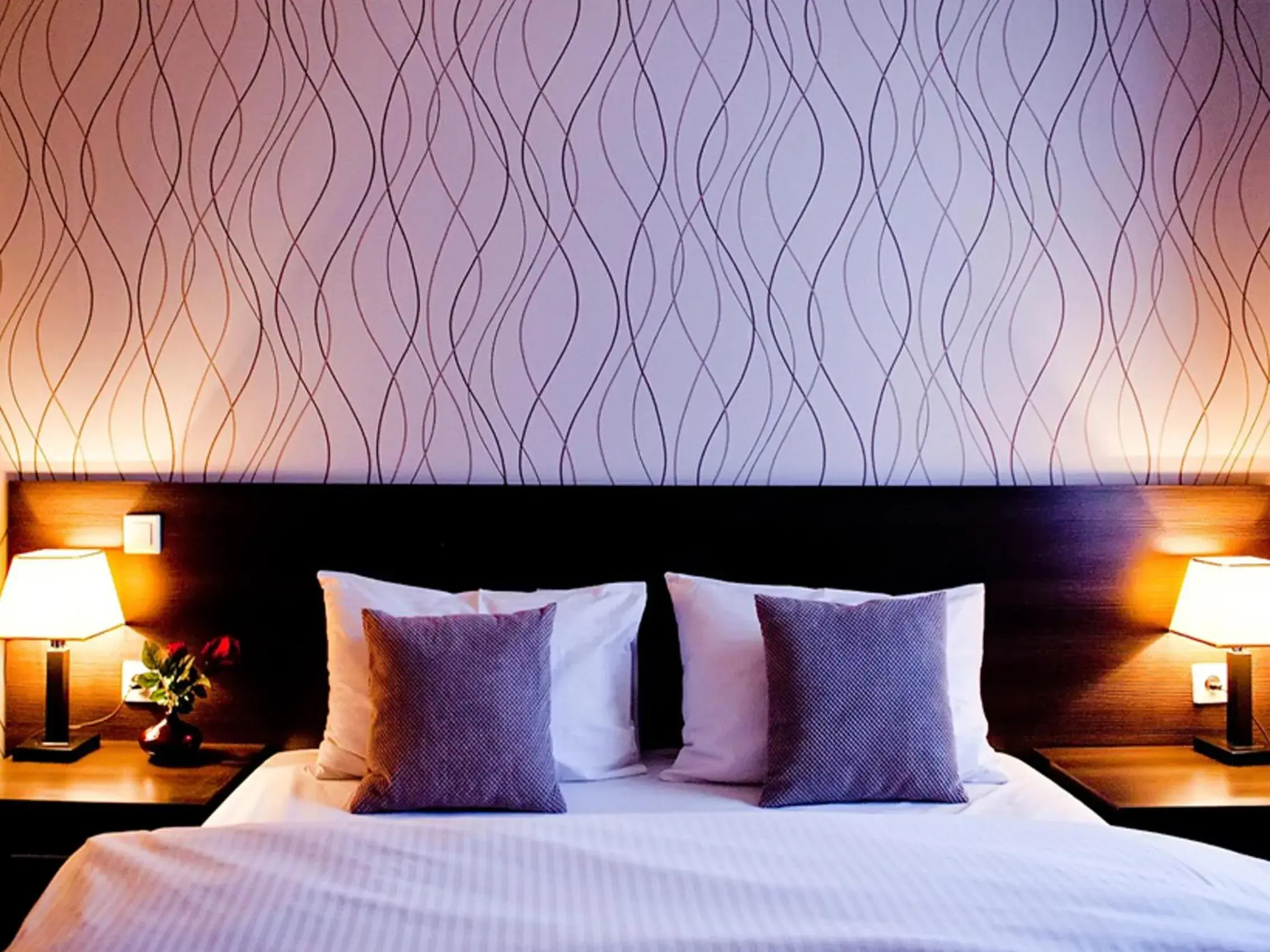 Comfort Single Room in Aviator Hotel Restauracja & SPA Comfort Single Room in Aviator Hotel Restauracja & SPA