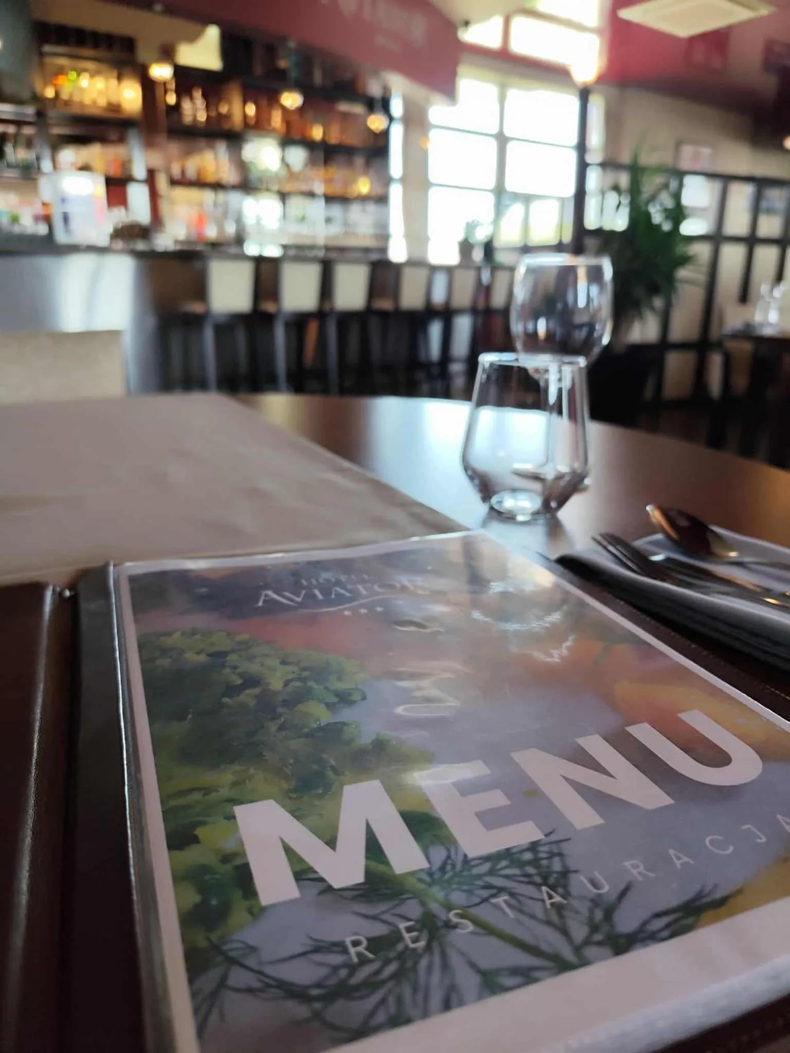 Aviator Hotel Restauracja & SPA