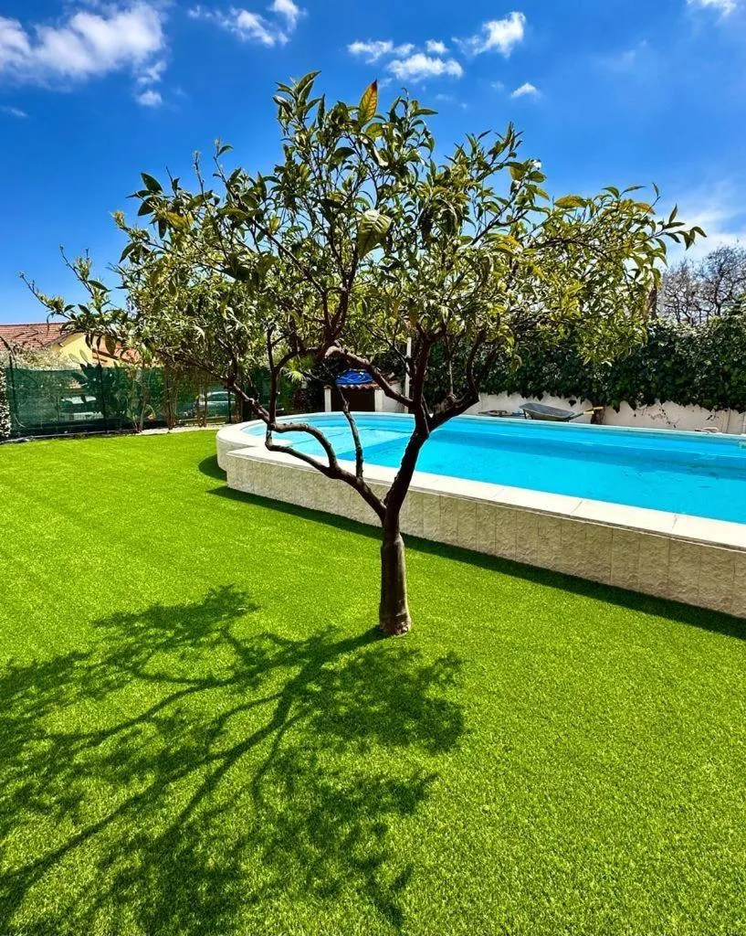 Etna Shelter Holiday House