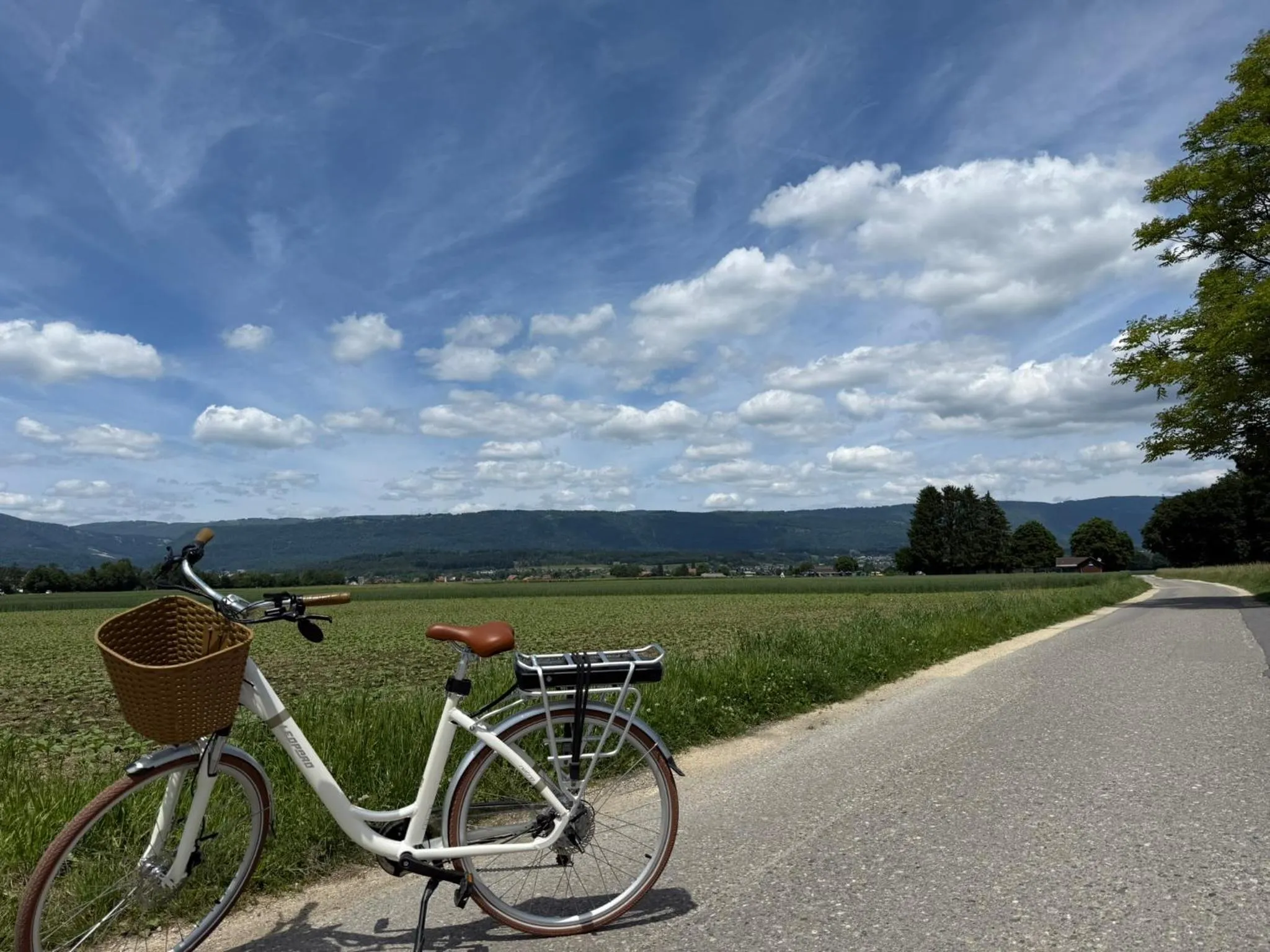 Cycling in Hotel Restaurant Florida