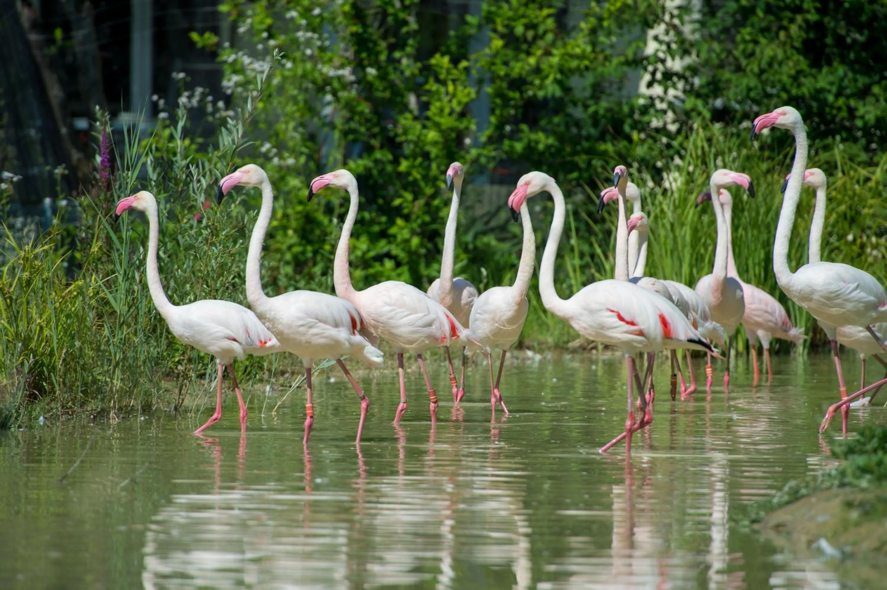 Landmark view in Hotel Restaurant Florida