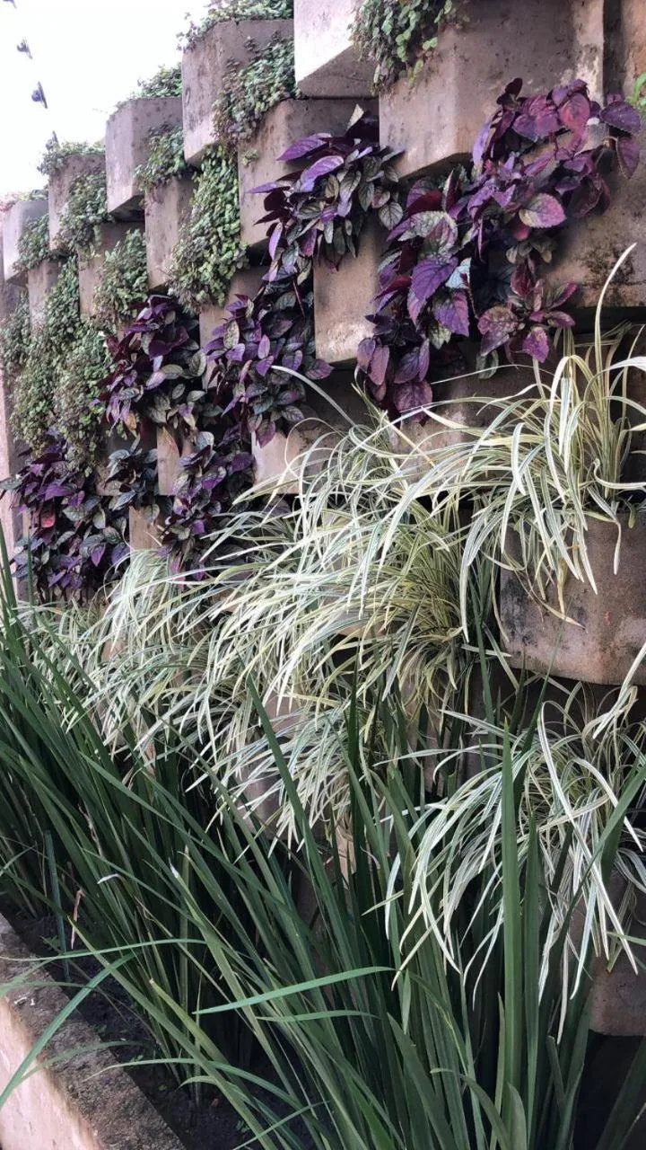 Swimming pool in Lua Pousada