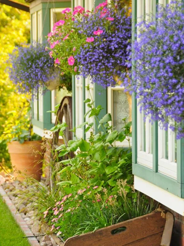 Garden view in Hotel Am Steendamm