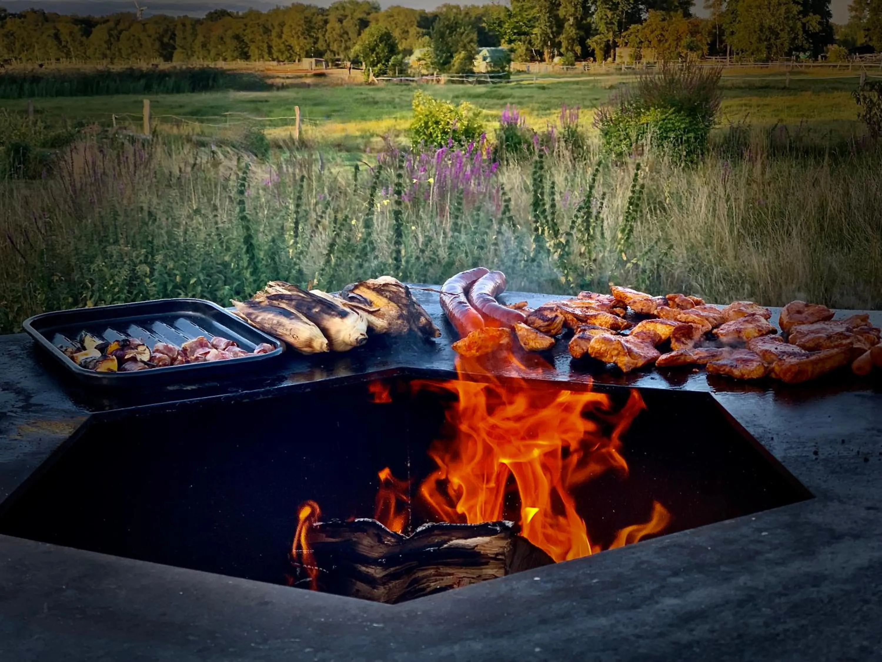 BBQ facilities in Hotel Am Steendamm