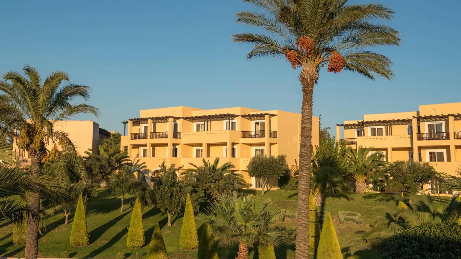 Garden in Horizon Beach Resort