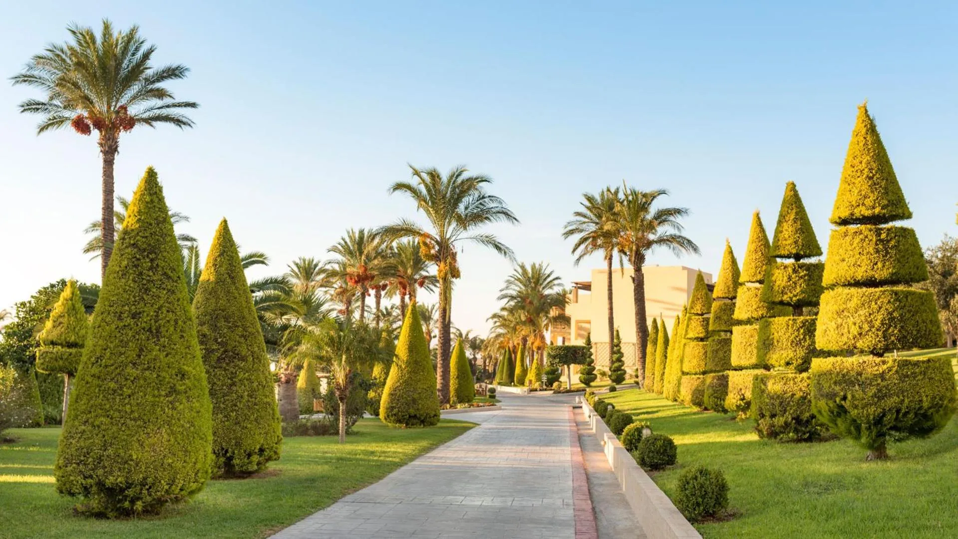 Garden in Horizon Beach Resort