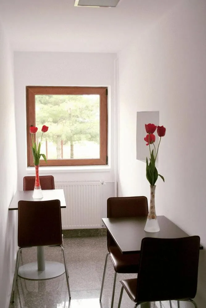 Hotel Timisoara Sannicolau Mare