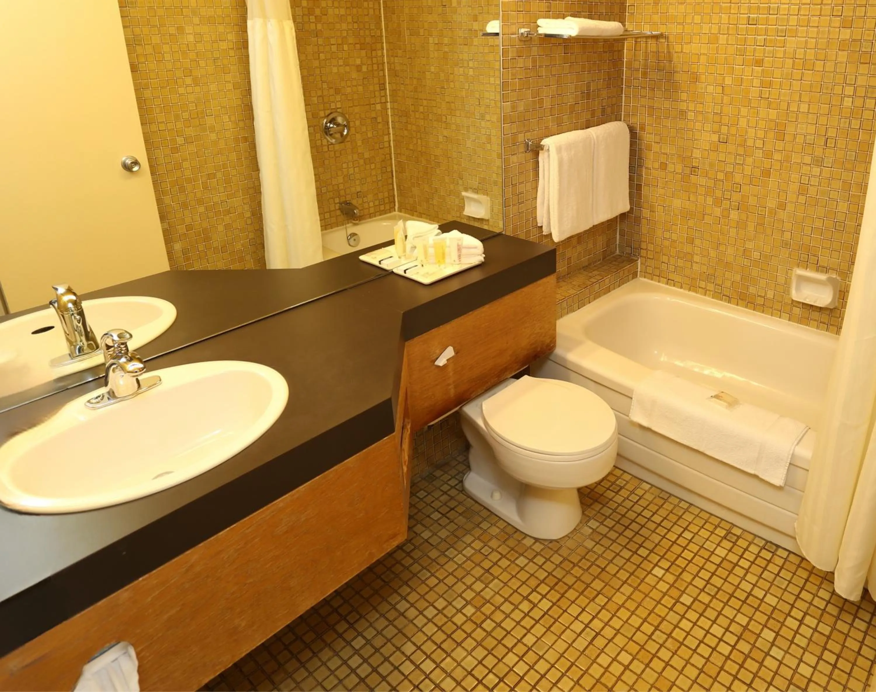 Bathroom in Hôtels Gouverneur Rimouski