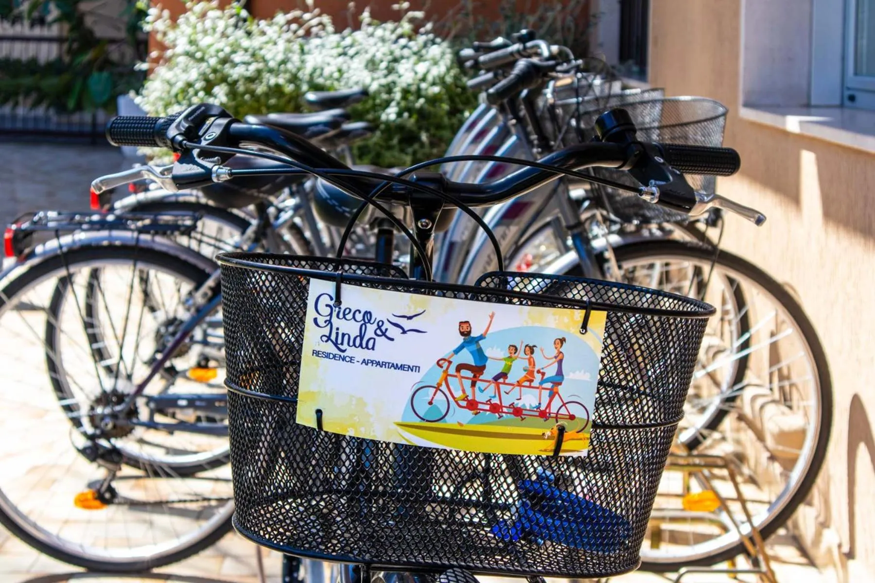 Cycling in Residence Greco