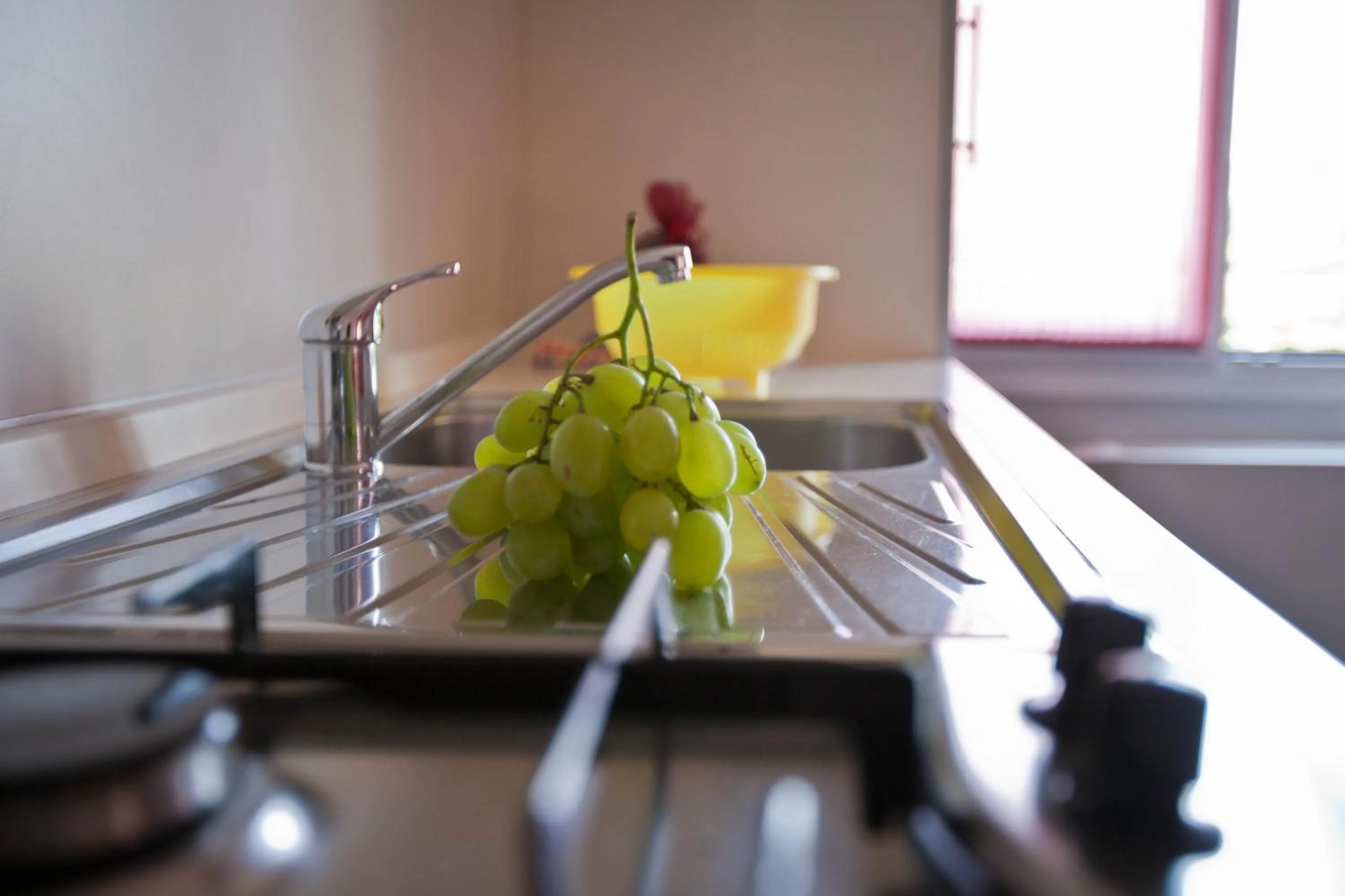 Food close-up in Residence Greco