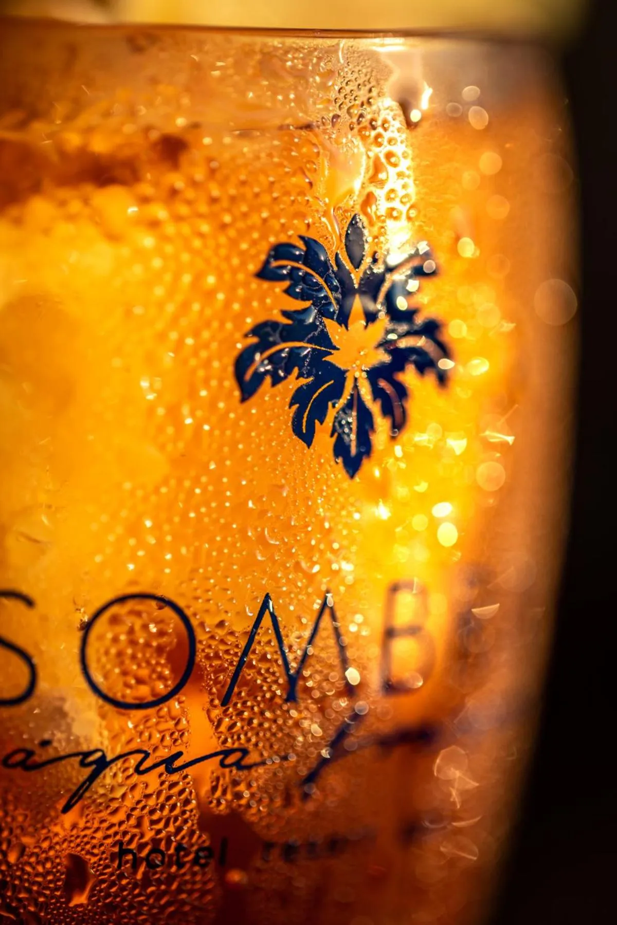 Drinks in Hotel Sombra e Água Fresca