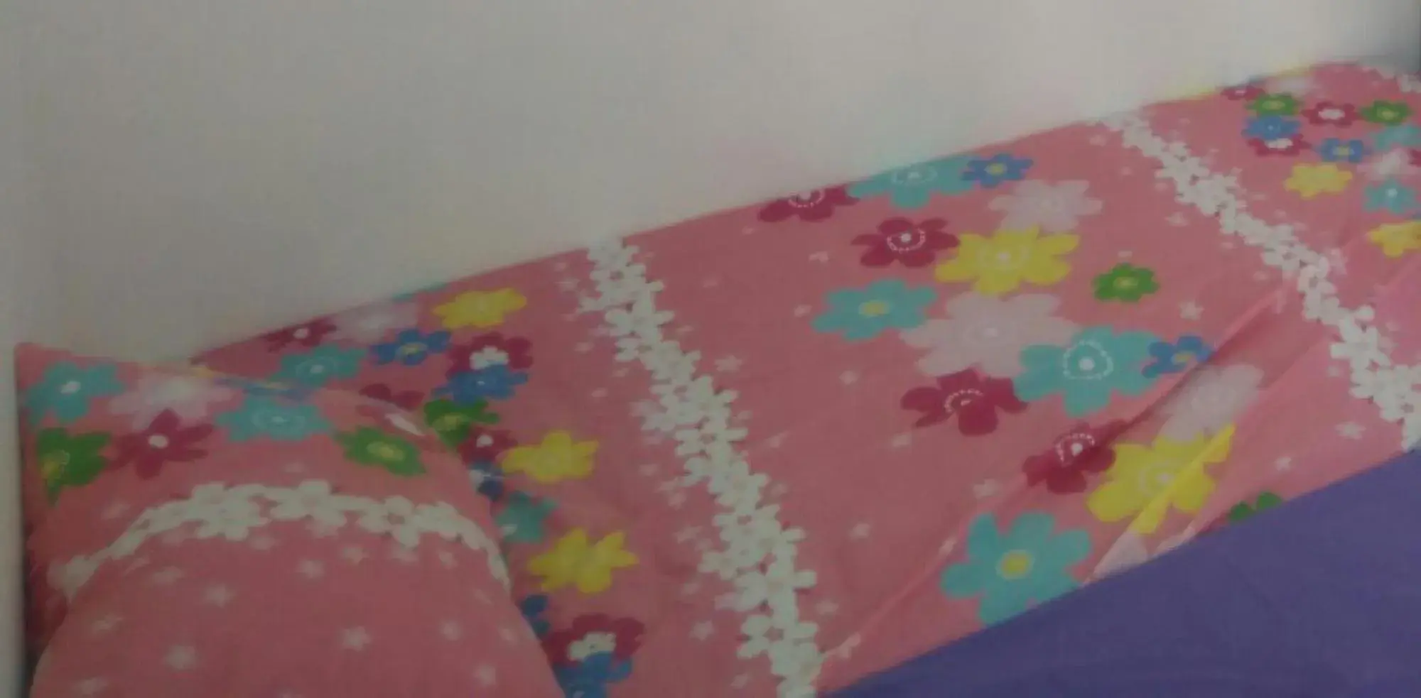 Budget Double Room in Kost 48 Surabaya Budget Double Room in Kost 48 Surabaya