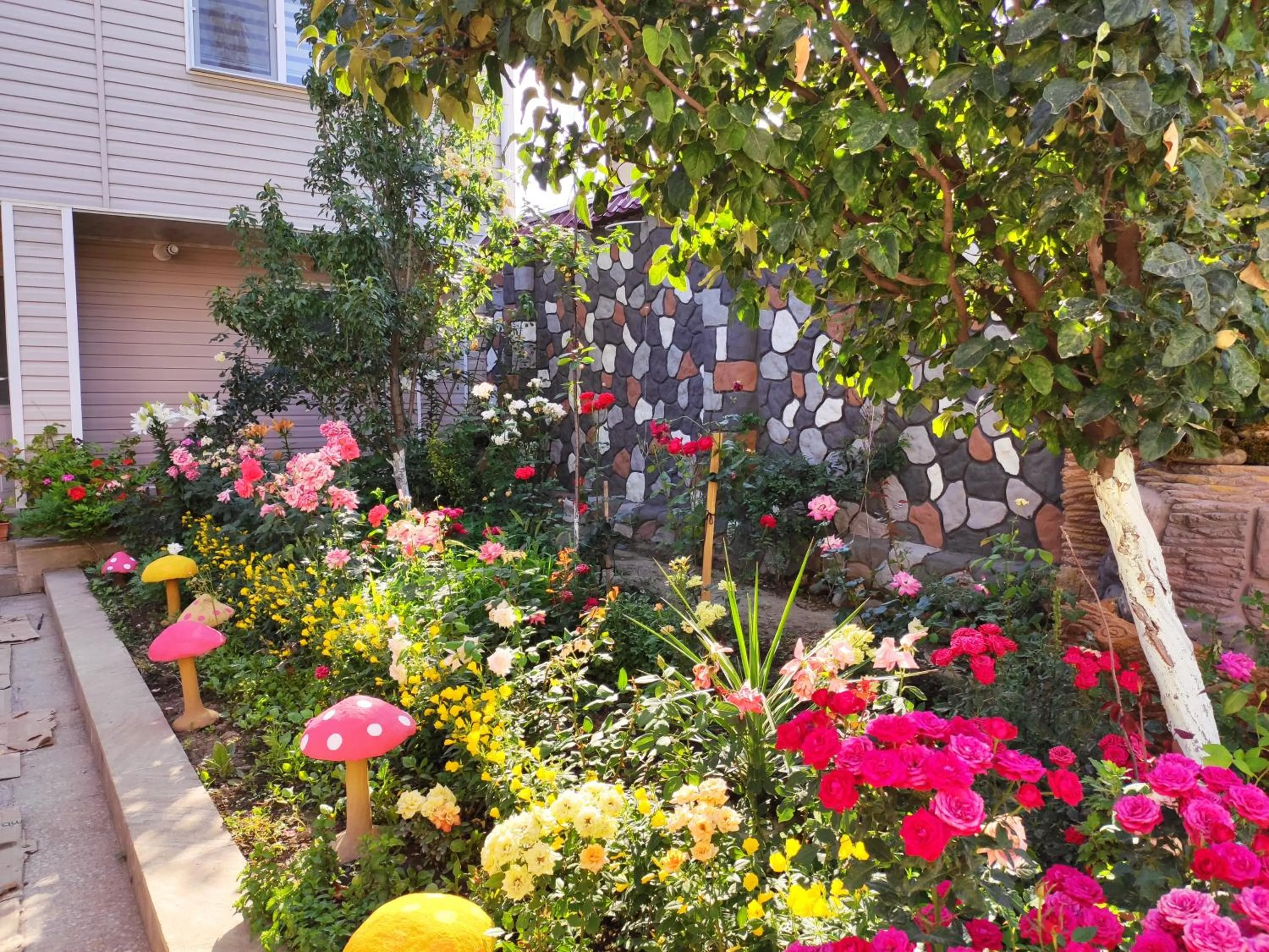 Villa Premium Qusar