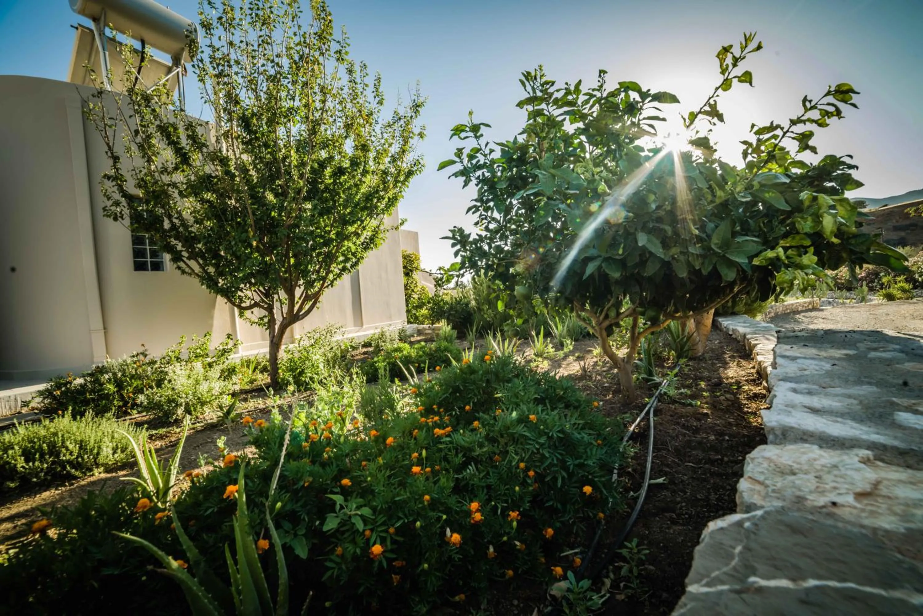 Property building in Mythos Suites Diskos