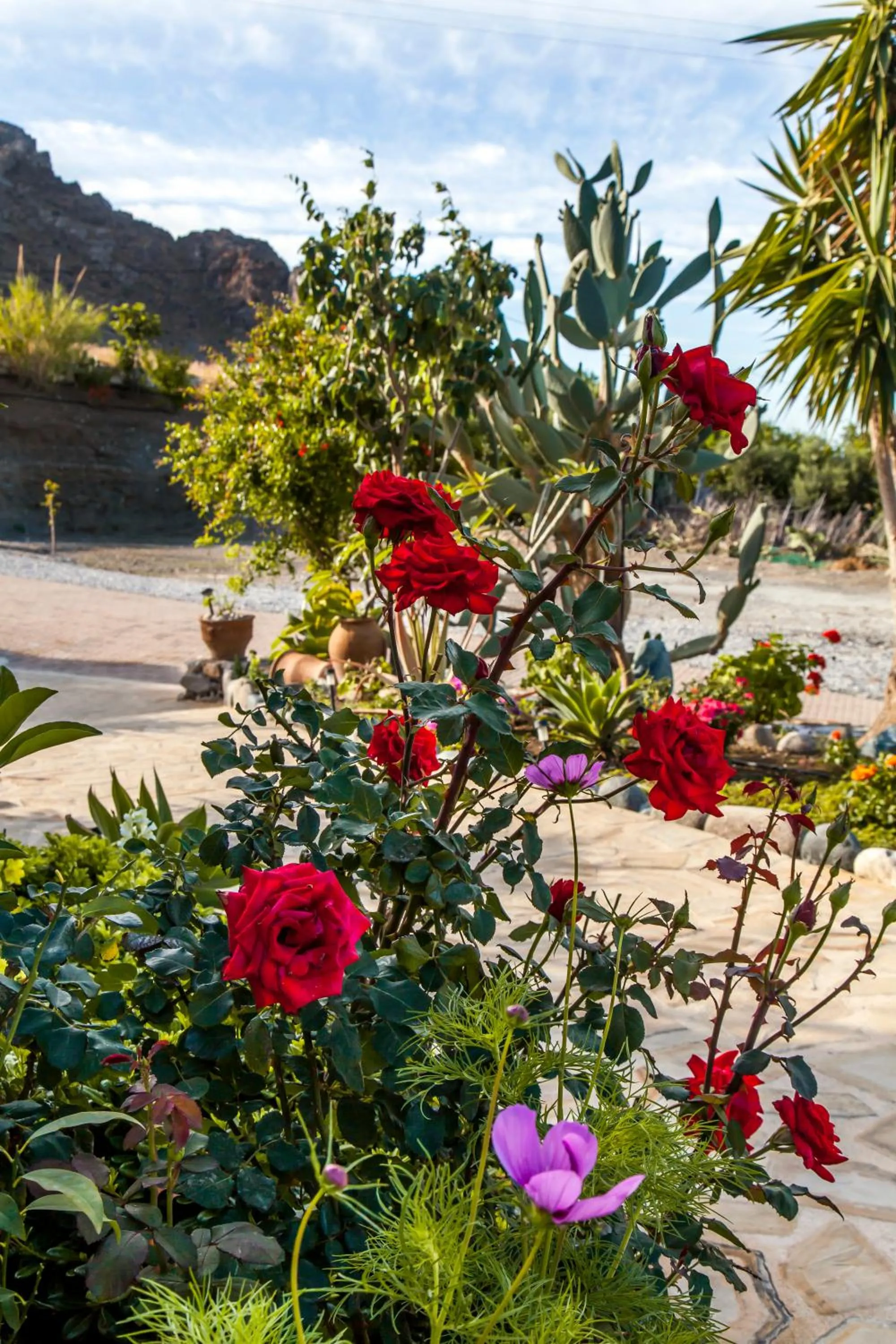 Mythos Suites Diskos