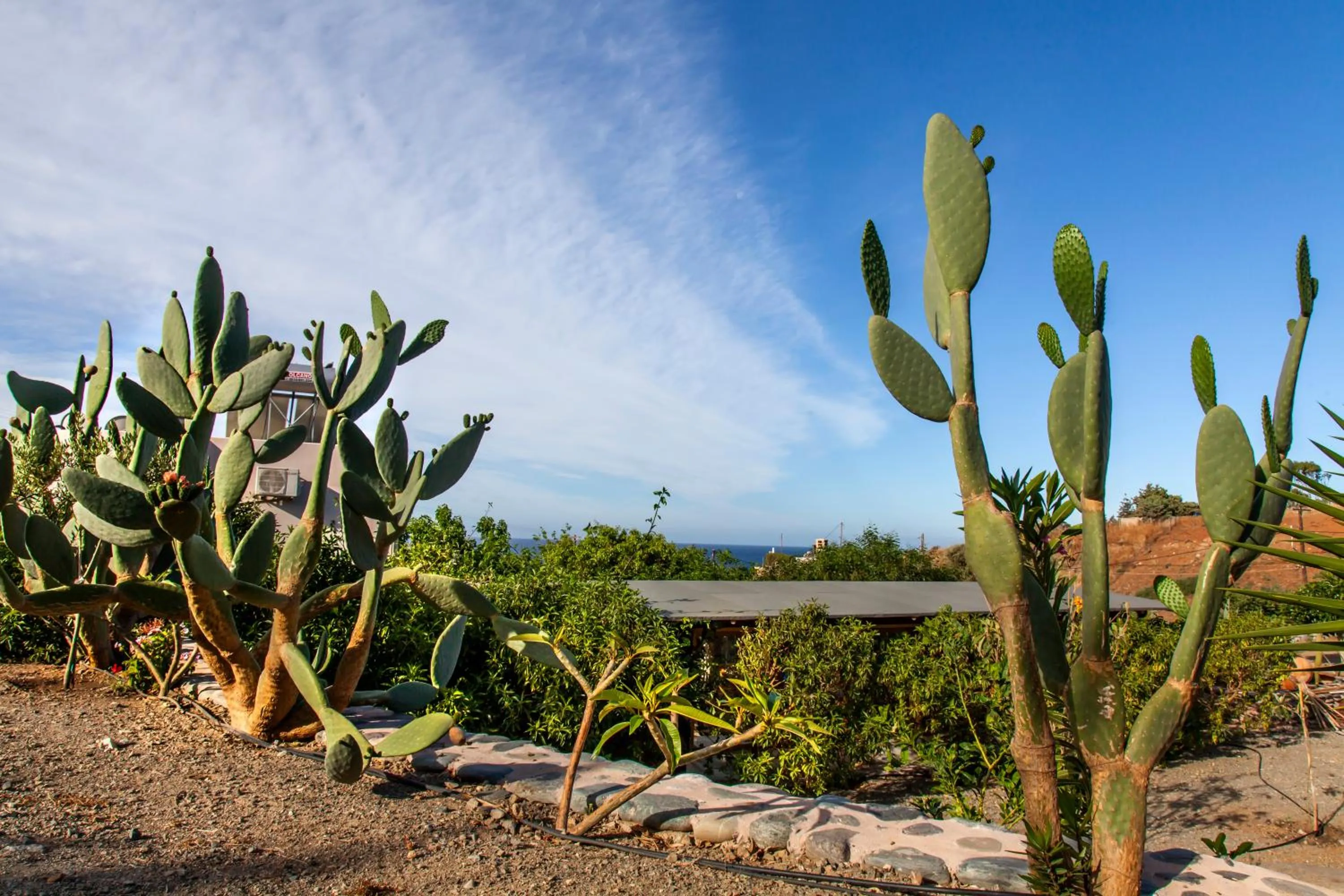 Mythos Suites Diskos