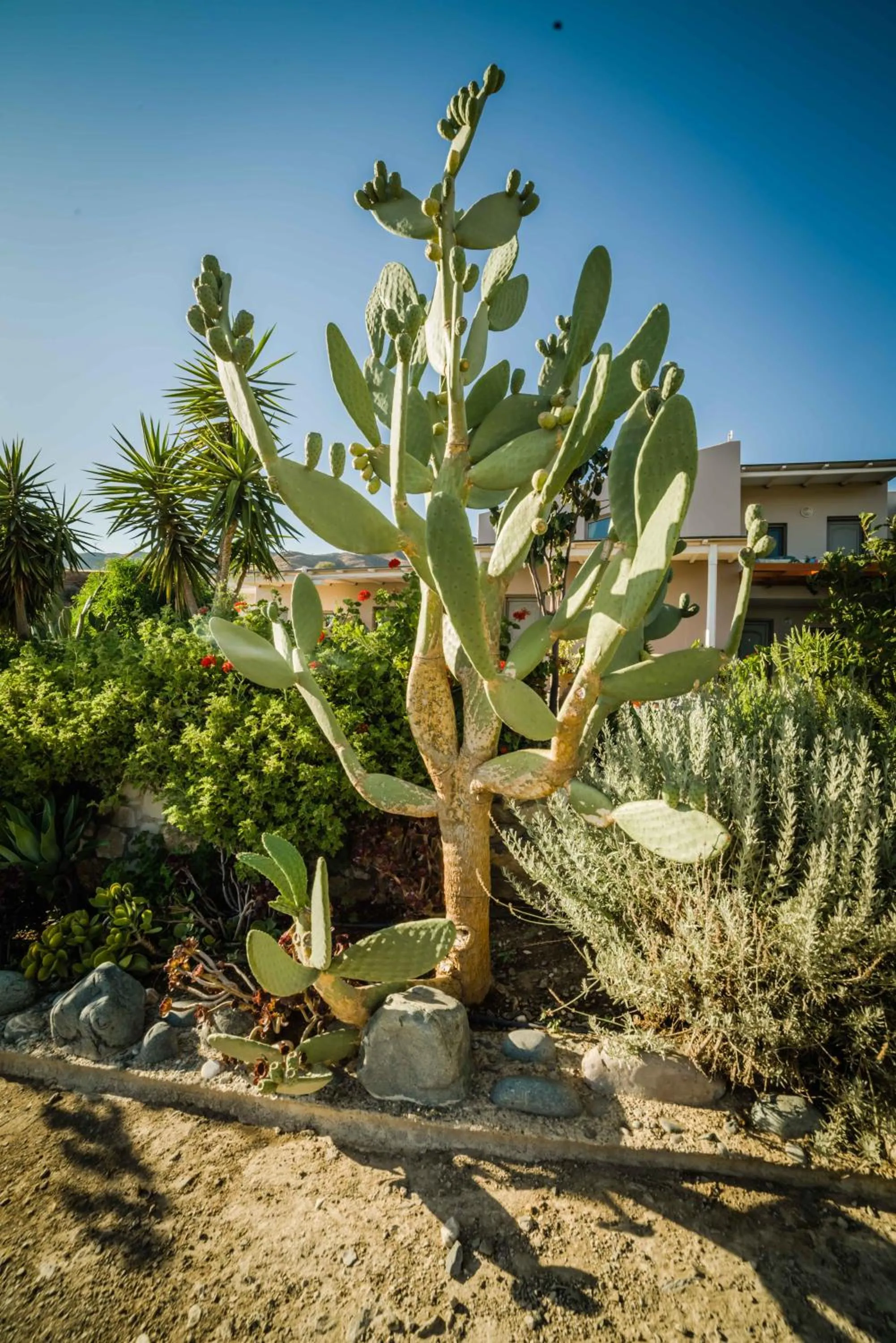 Property building in Mythos Suites Diskos