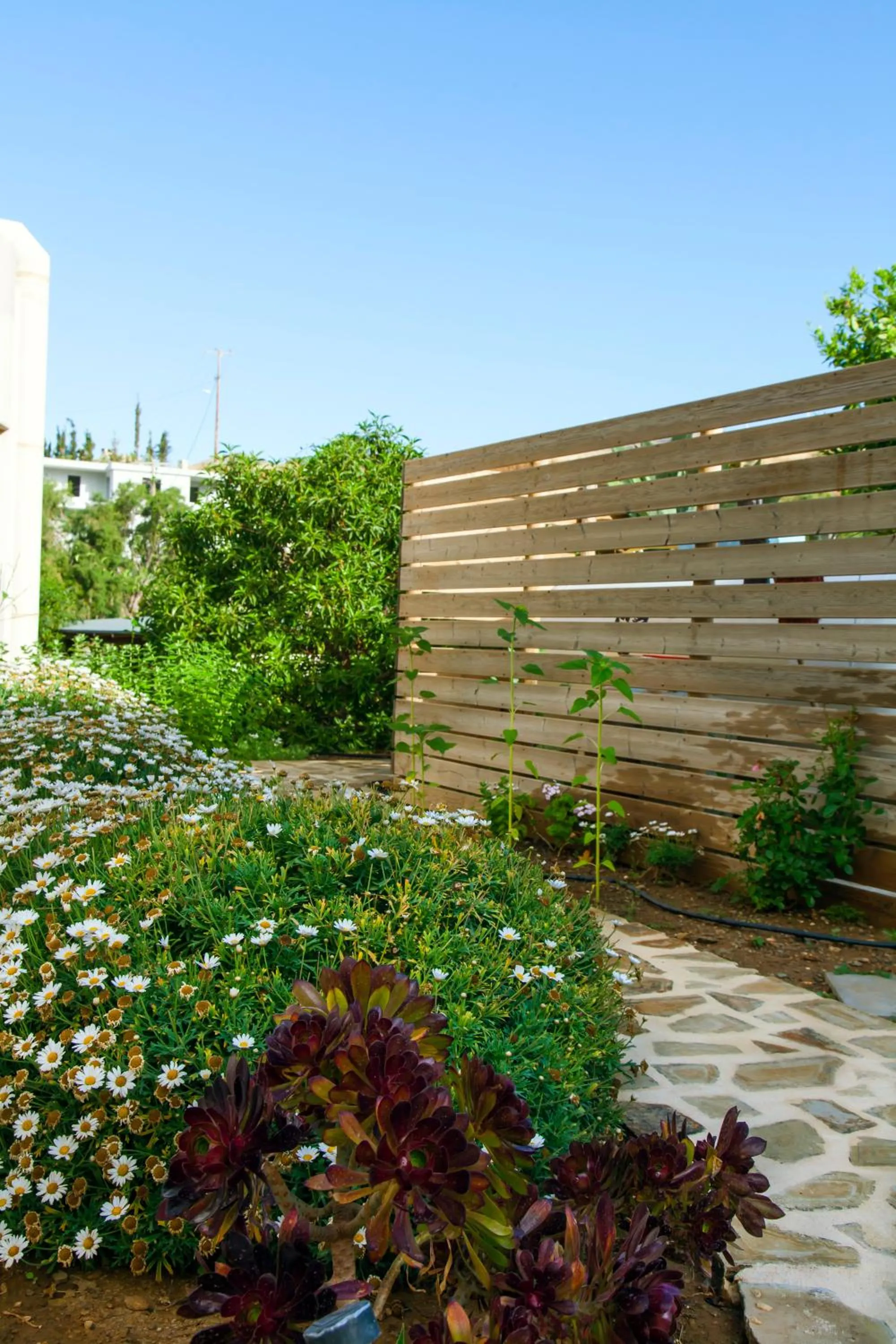 Mythos Suites Diskos