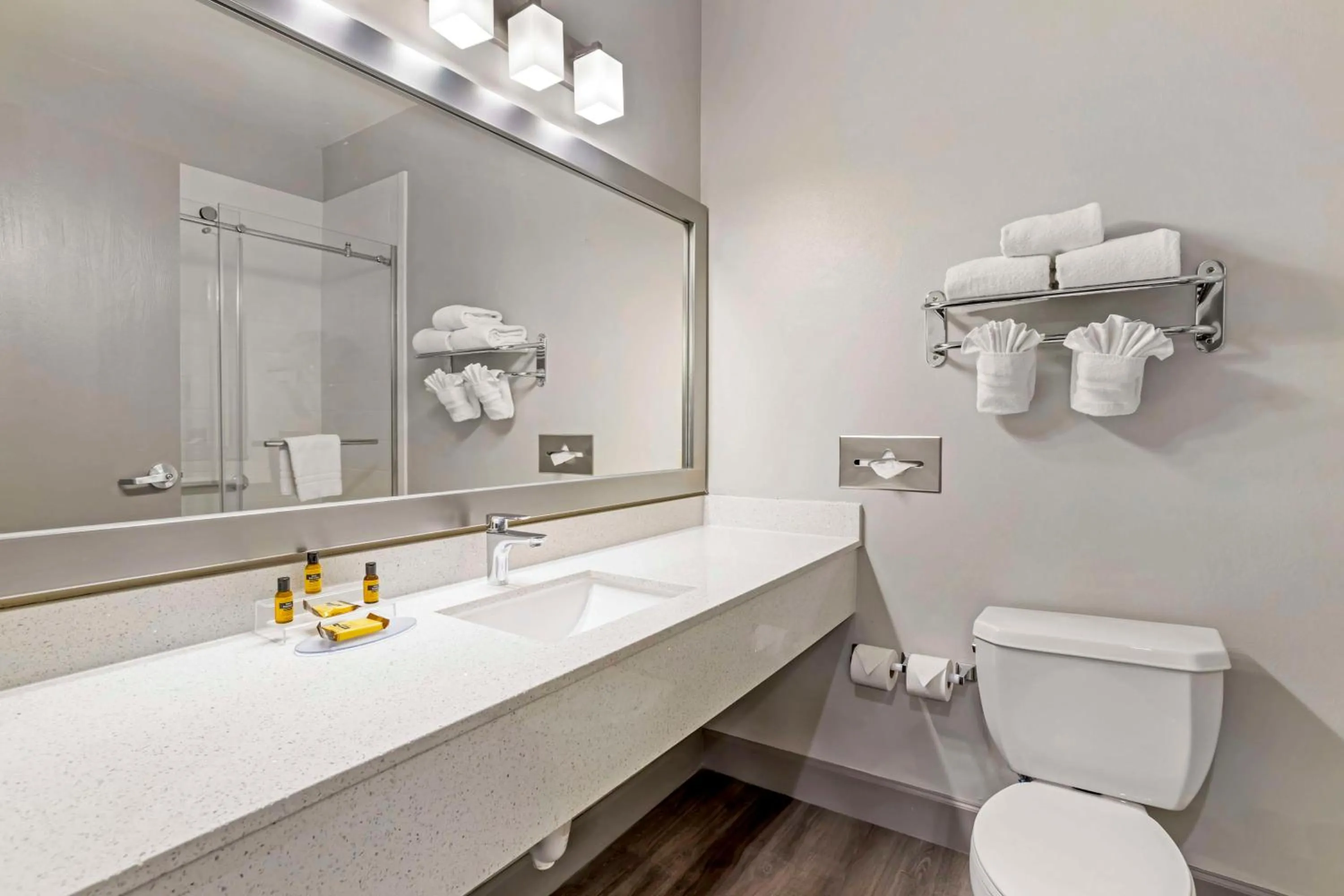 Bathroom in Best Western Plus Hobby Airport Inn & Suites