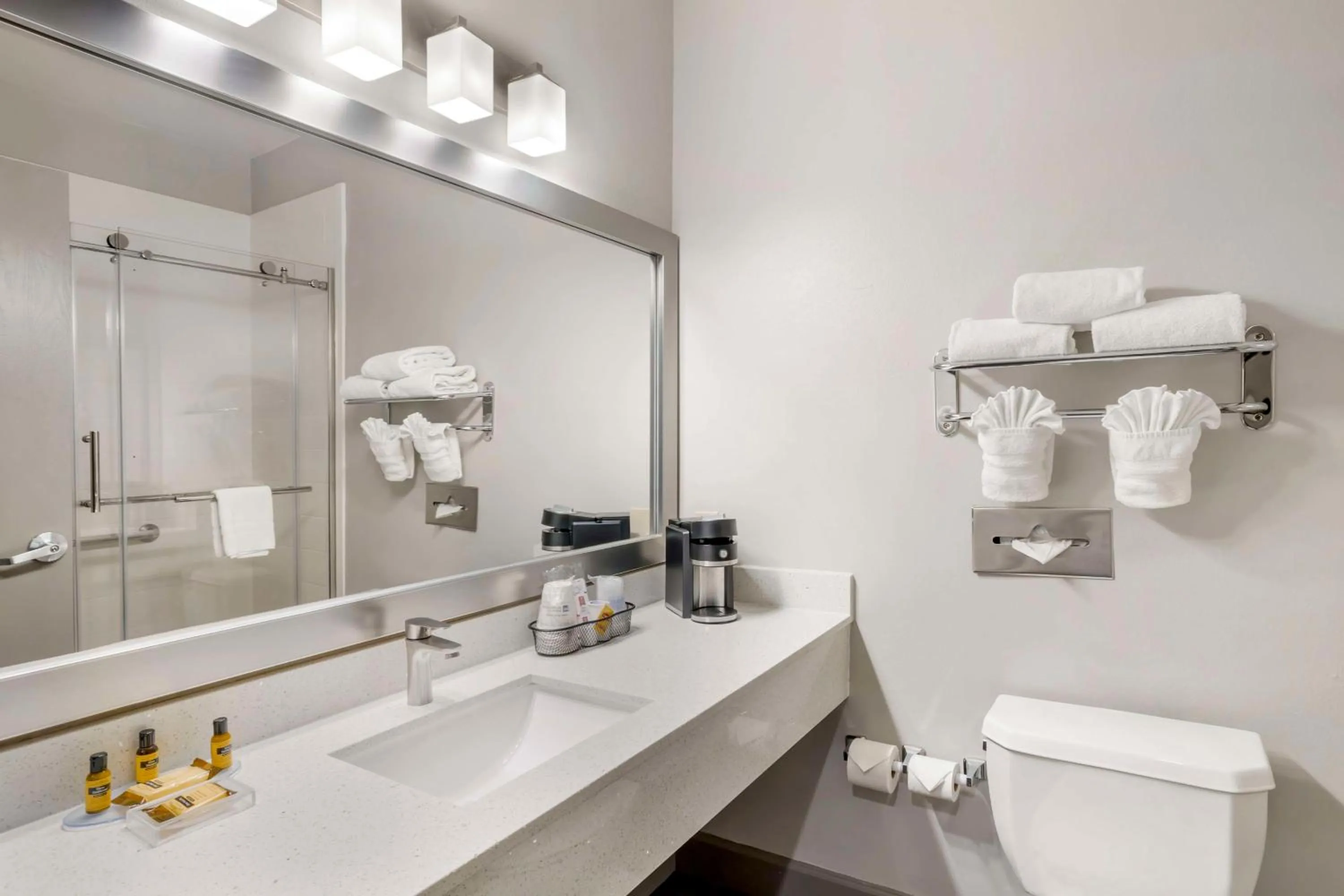 Bathroom in Best Western Plus Hobby Airport Inn & Suites