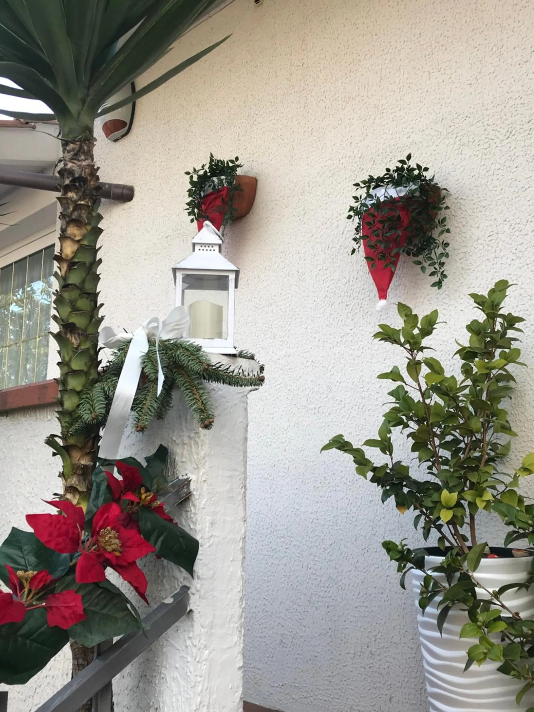 La Casa di Isabella Loreto