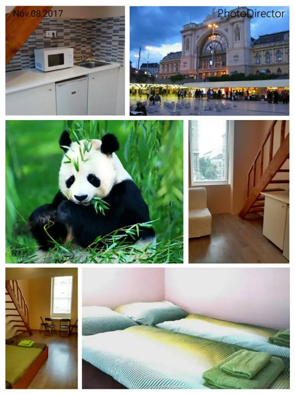 Green Panda Apartments Green Panda Apartments
