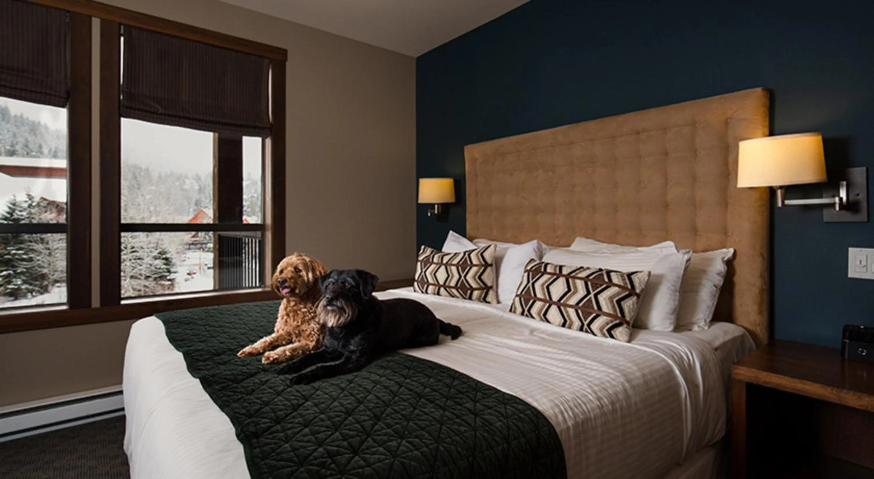 Bedroom, Bed in Evolution Whistler