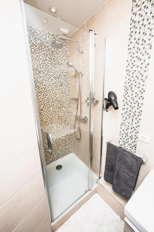 Shower in Paris City Flat App entier N106 F3