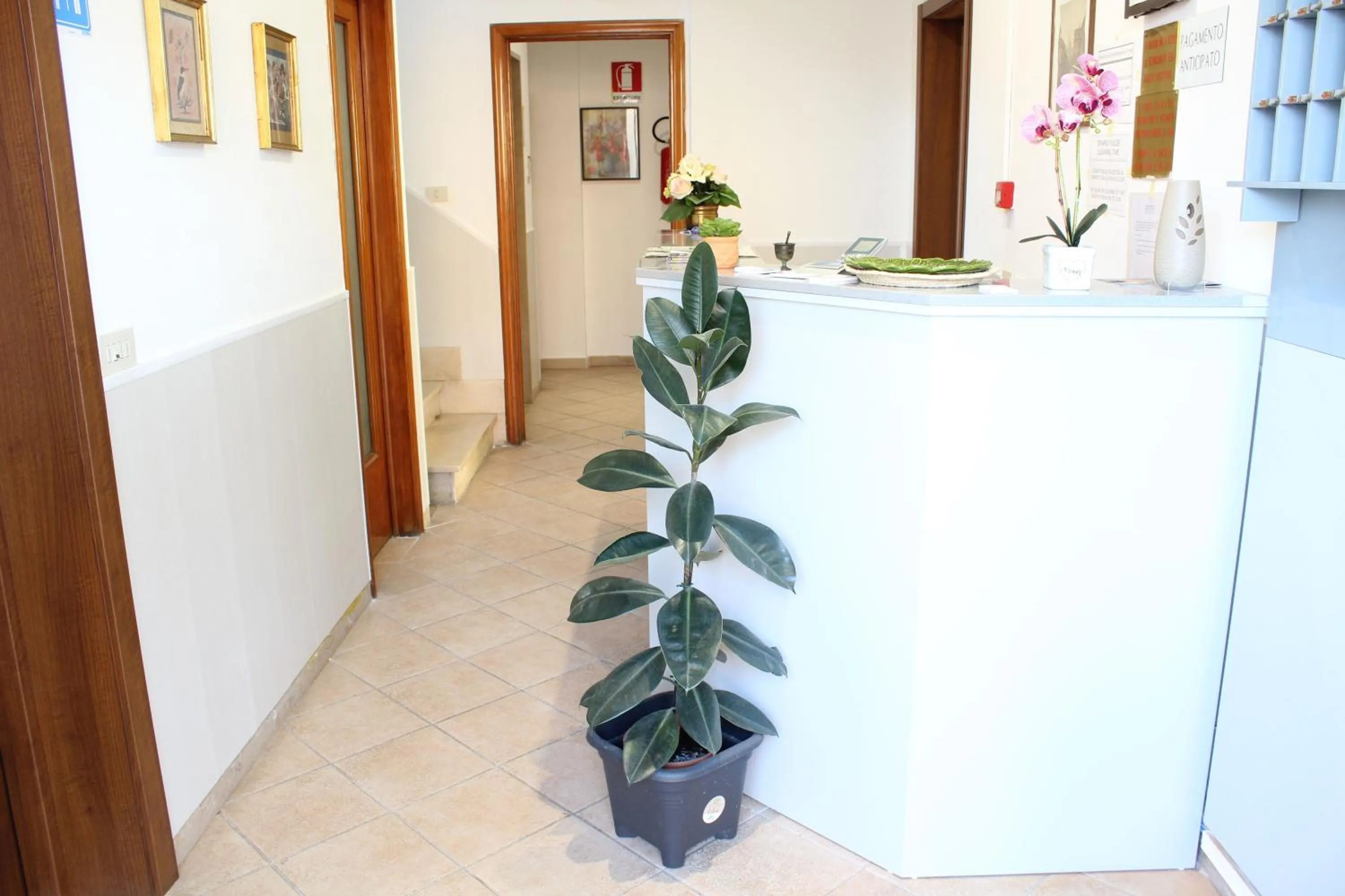 Lobby or reception in Hotel Luca