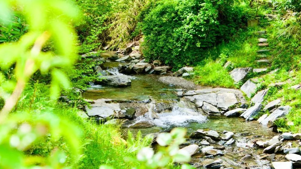 Natural landscape in Hotel Soazza