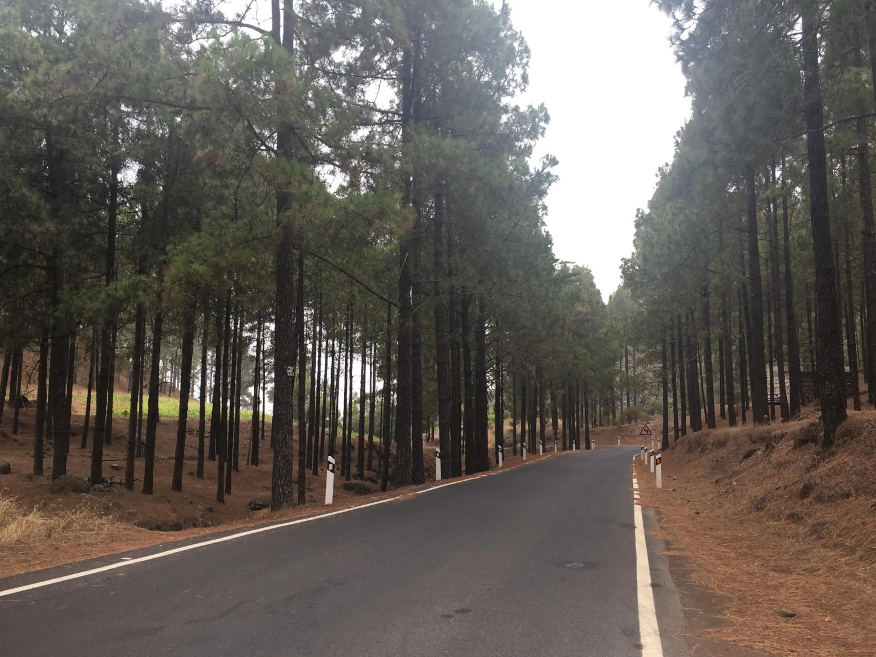 Off site in La Casita de Las Palmas VV