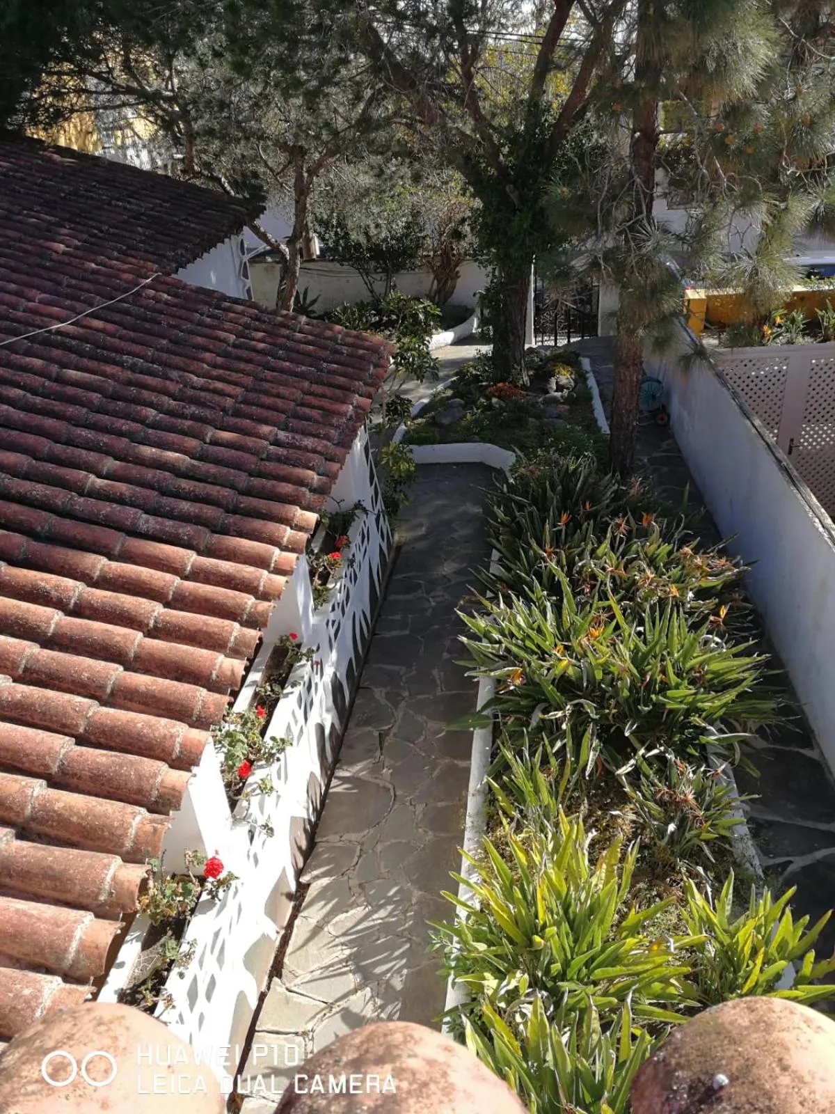 Garden in La Casita de Las Palmas VV