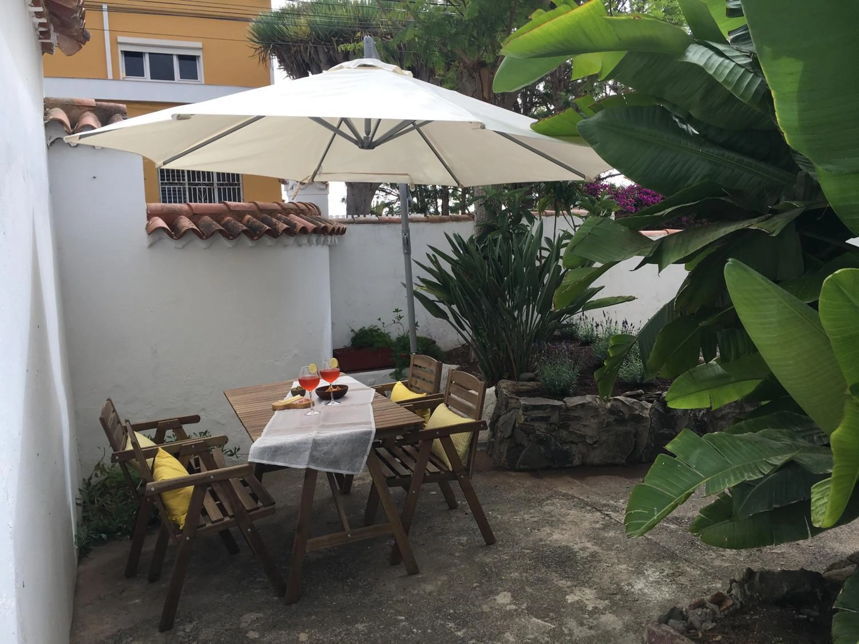 Garden in La Casita de Las Palmas VV